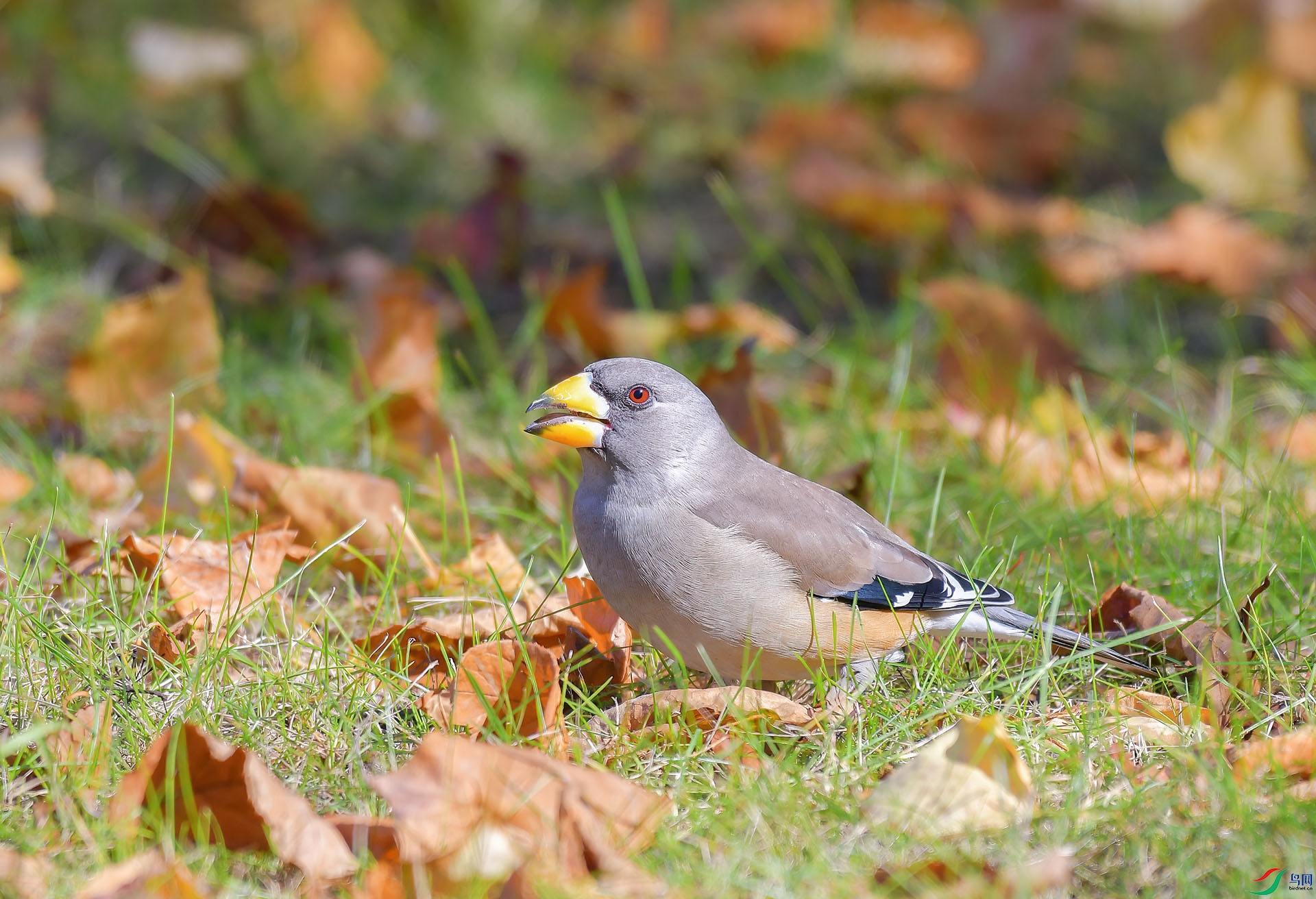 DSC_7649 ����.jpg