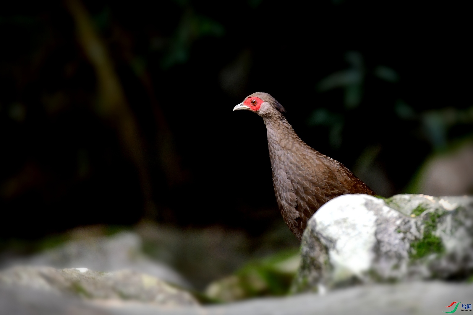 DSC_7584.JPG