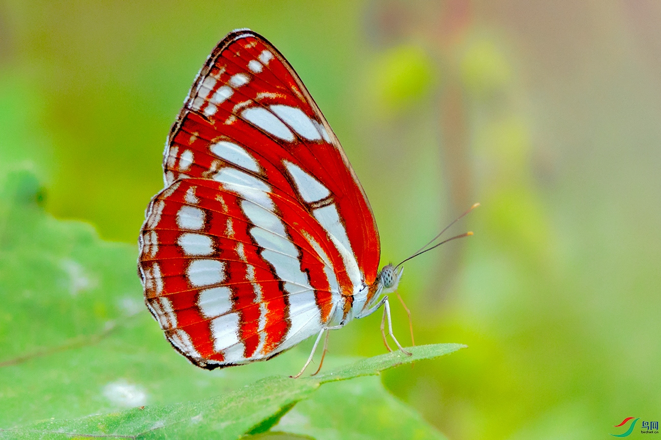89LPY_8369.jpg