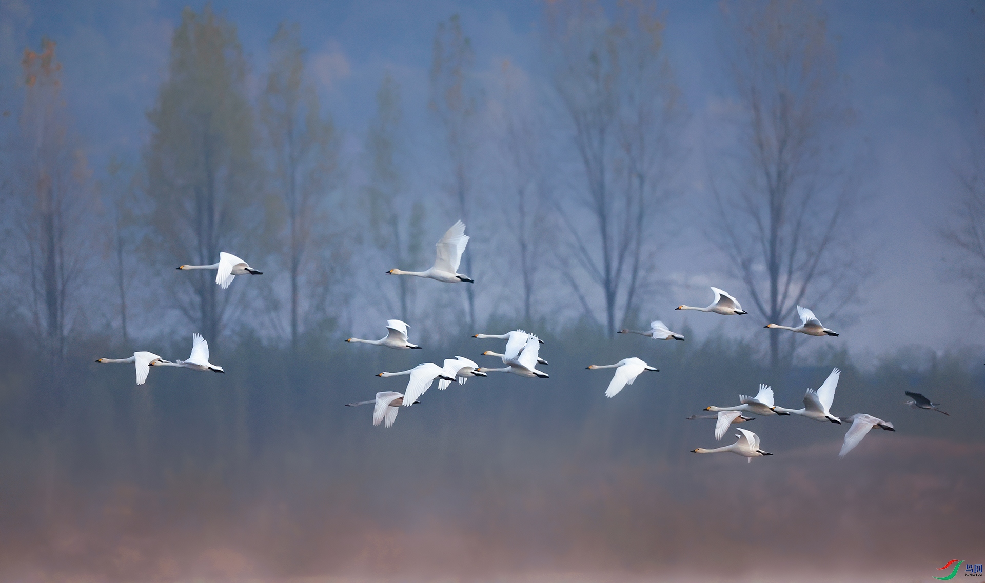 ����083A6426.jpg