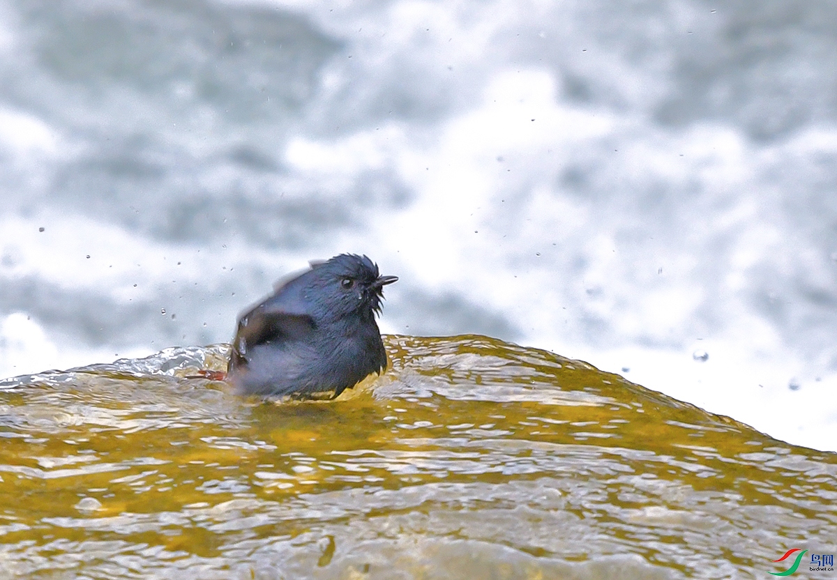 DSC_1314.JPG