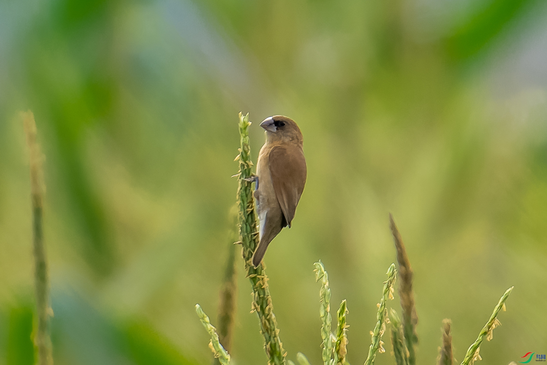 DSC05513-ARW_DxO_DeepPRIME-1.jpg