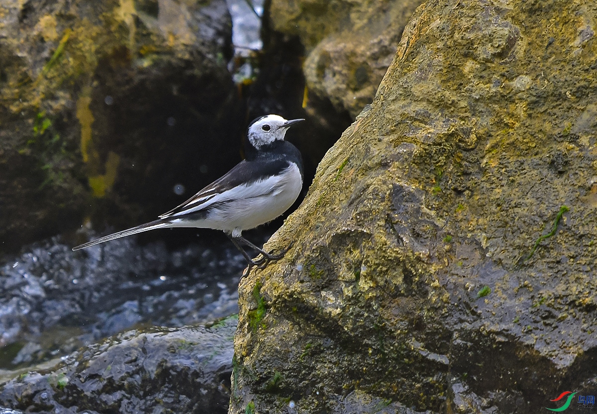DSC_0747.JPG