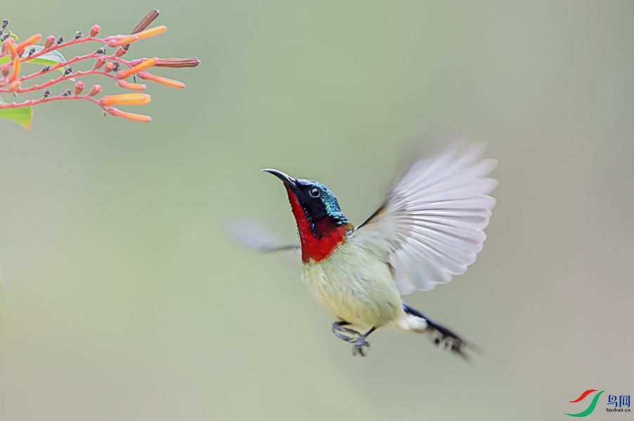 DSC_6710-1 _����.jpg