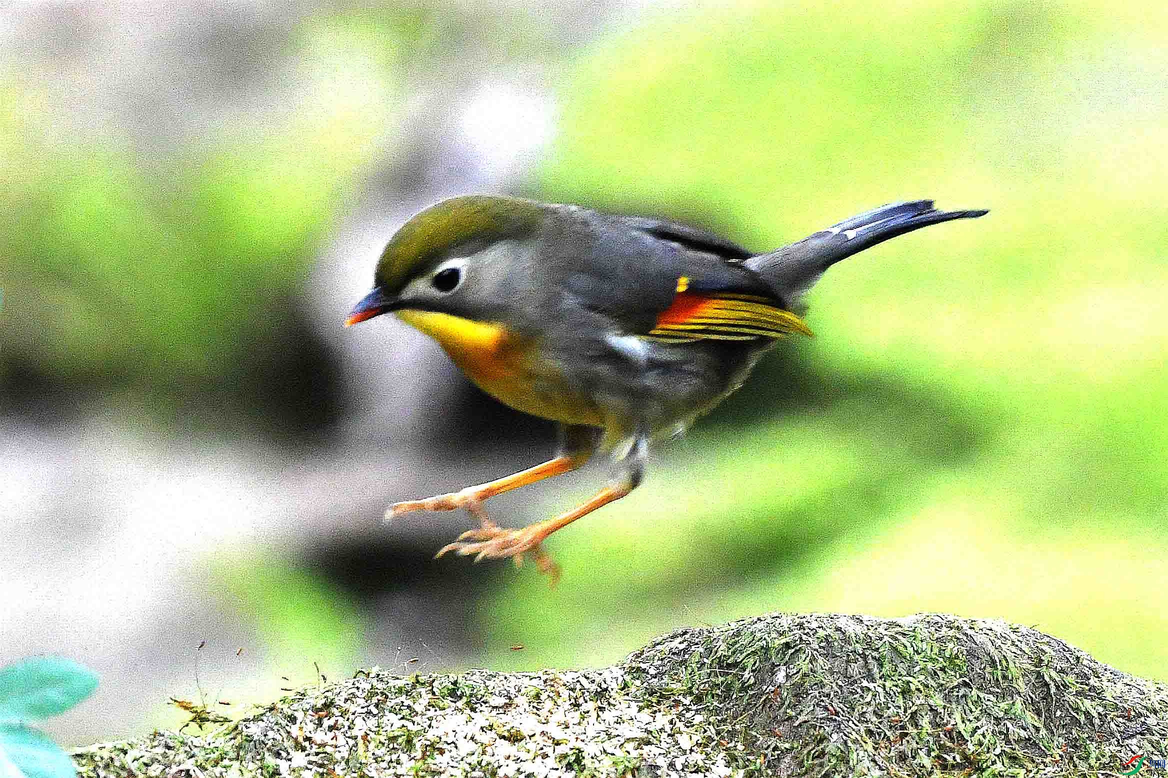 DSC_4534_����.jpg