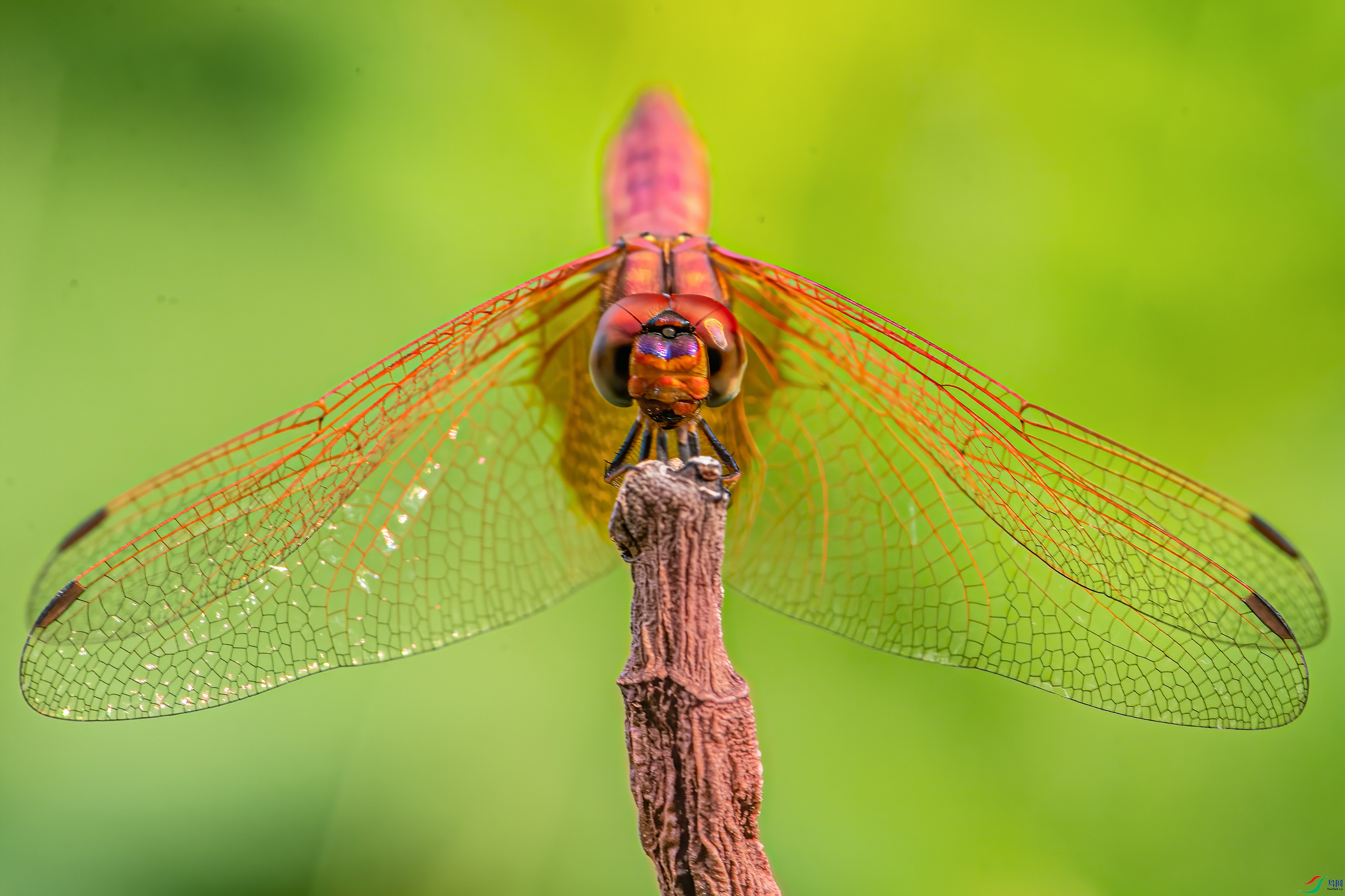 DSC_0853-px_1.jpg