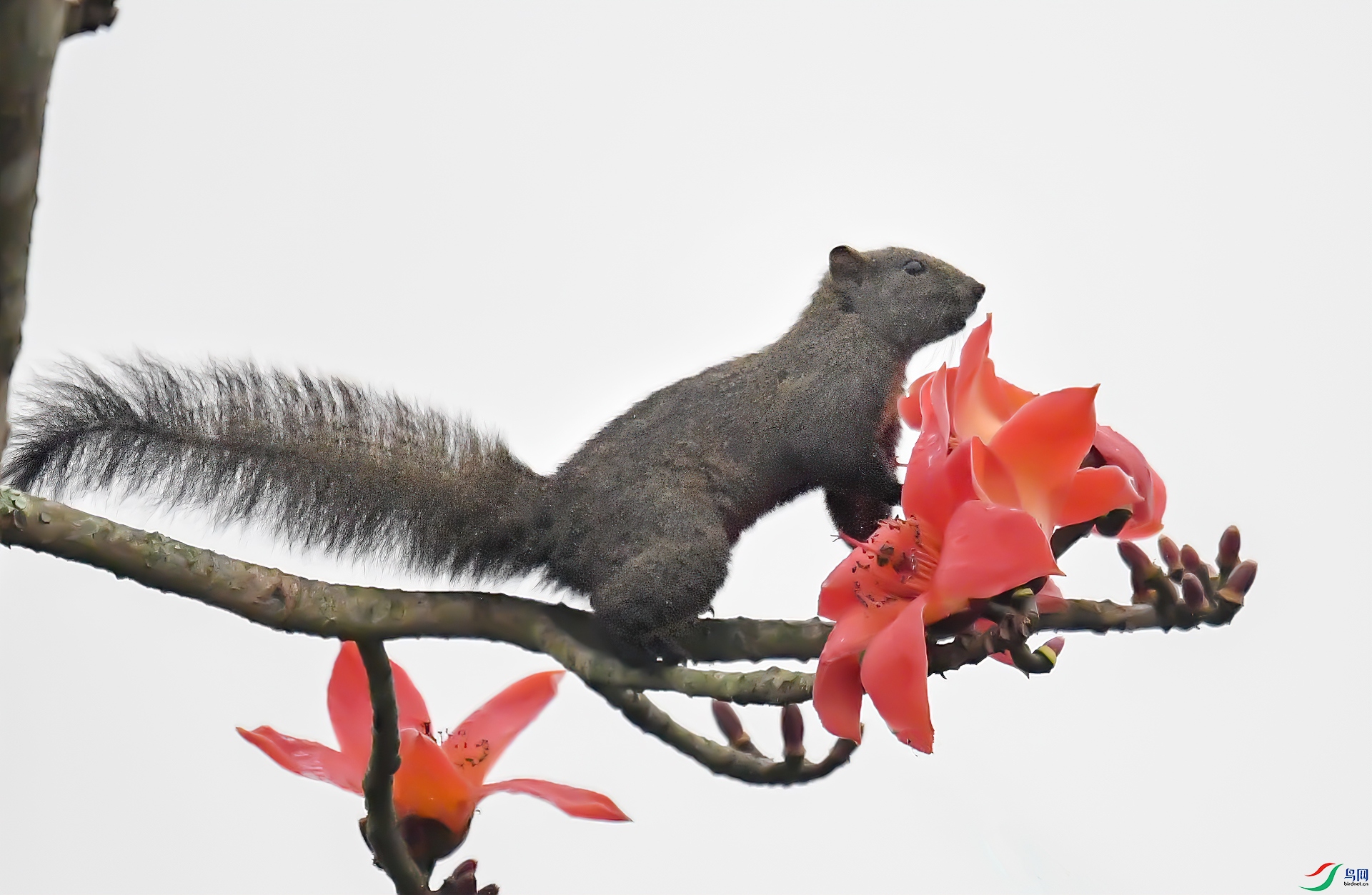 DSC_7806-1.jpg