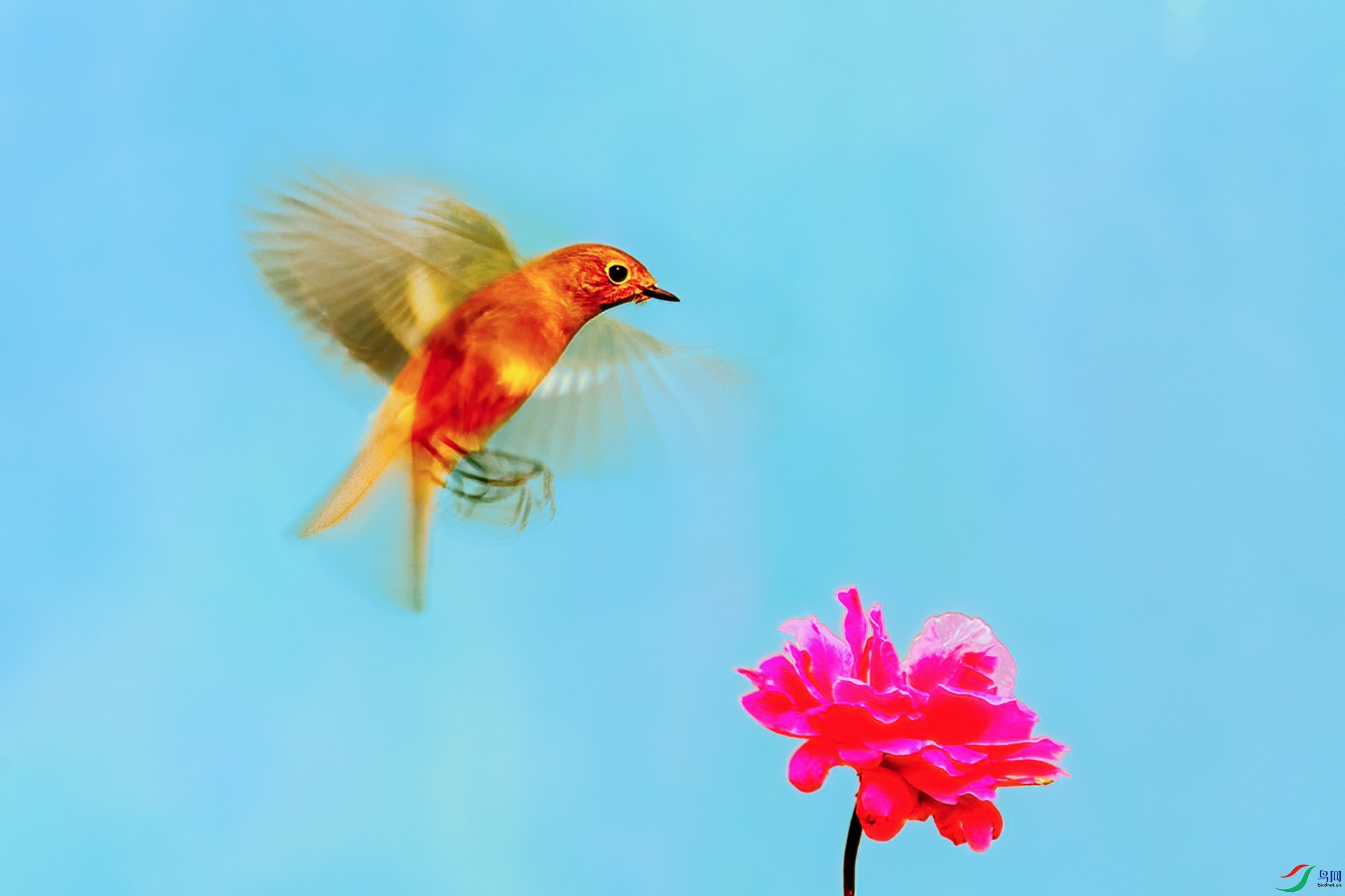 _����B5A7189.jpg