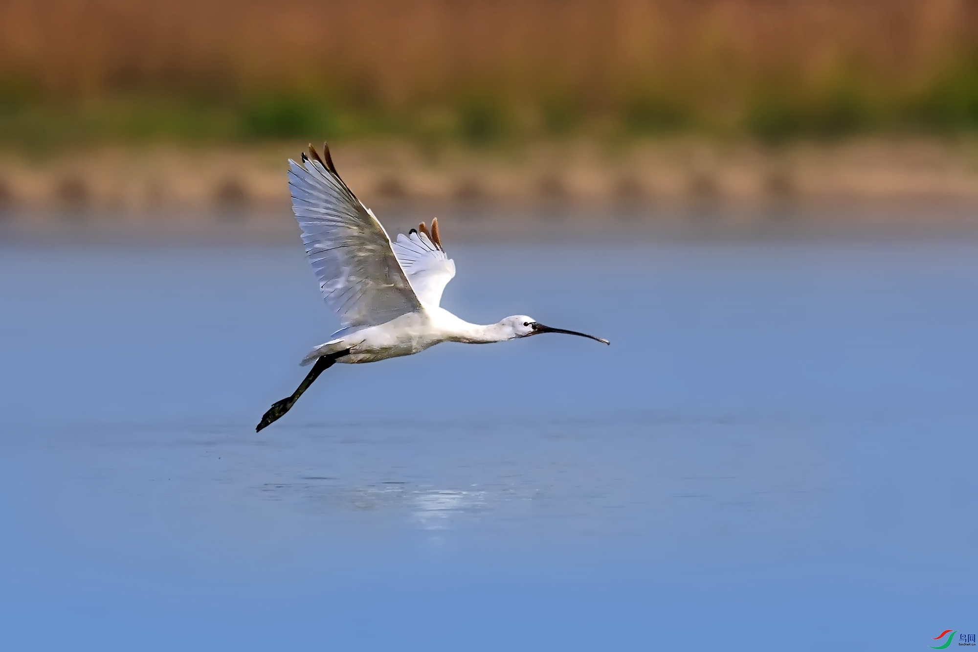 DSC_2881.jpg