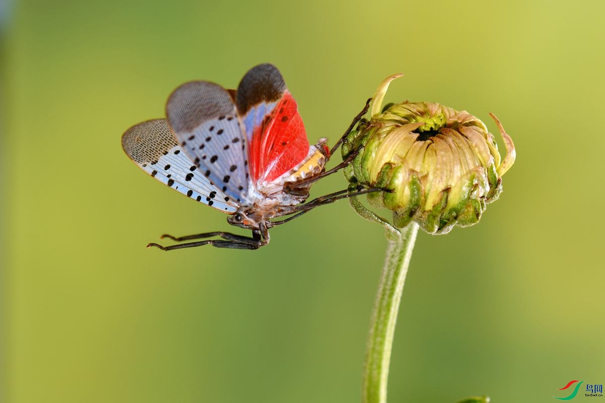 DSC_7561_����.jpg