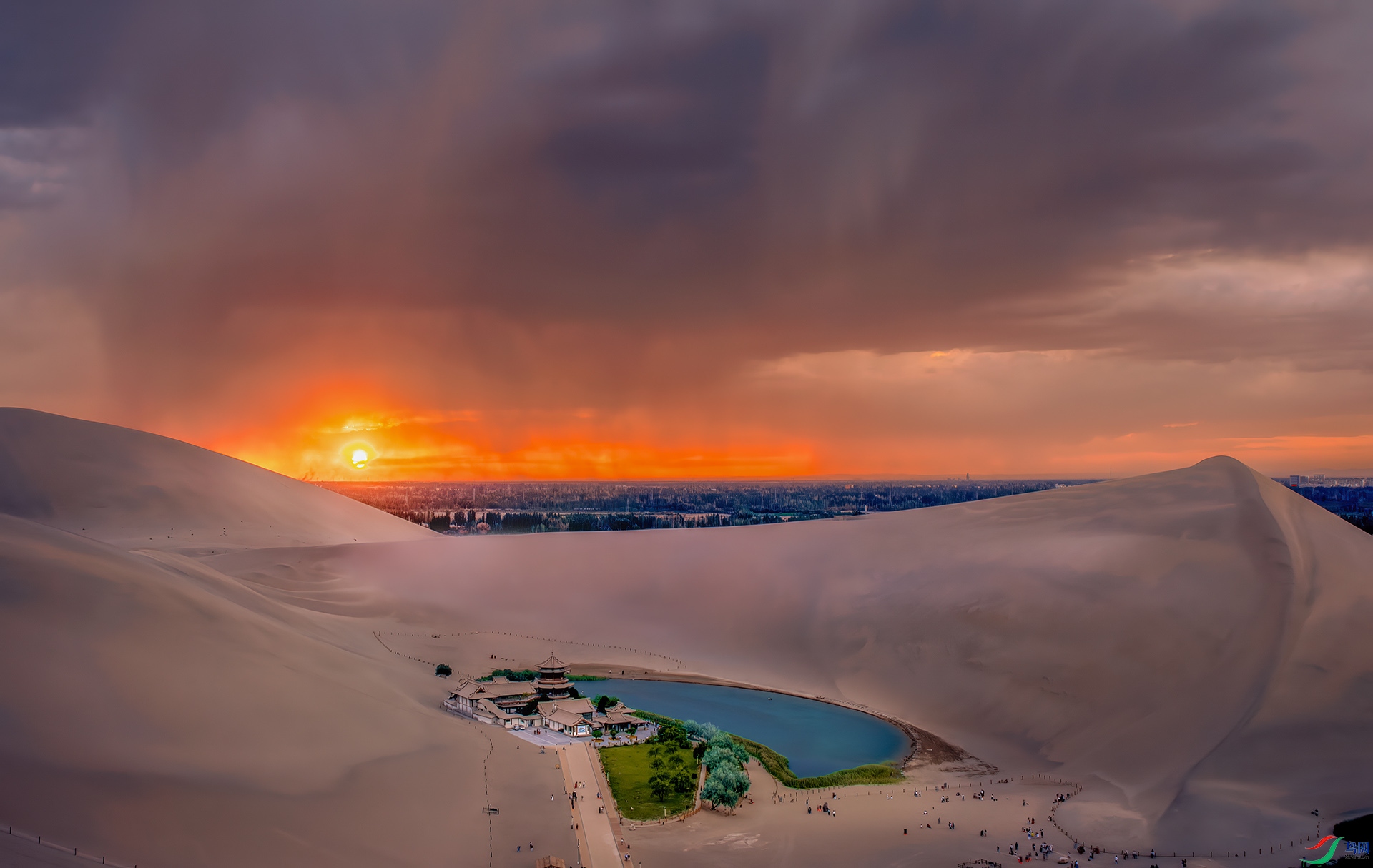 DSC_3690-NEF_DxO_DeepPRIME - ����Ȫ.jpg