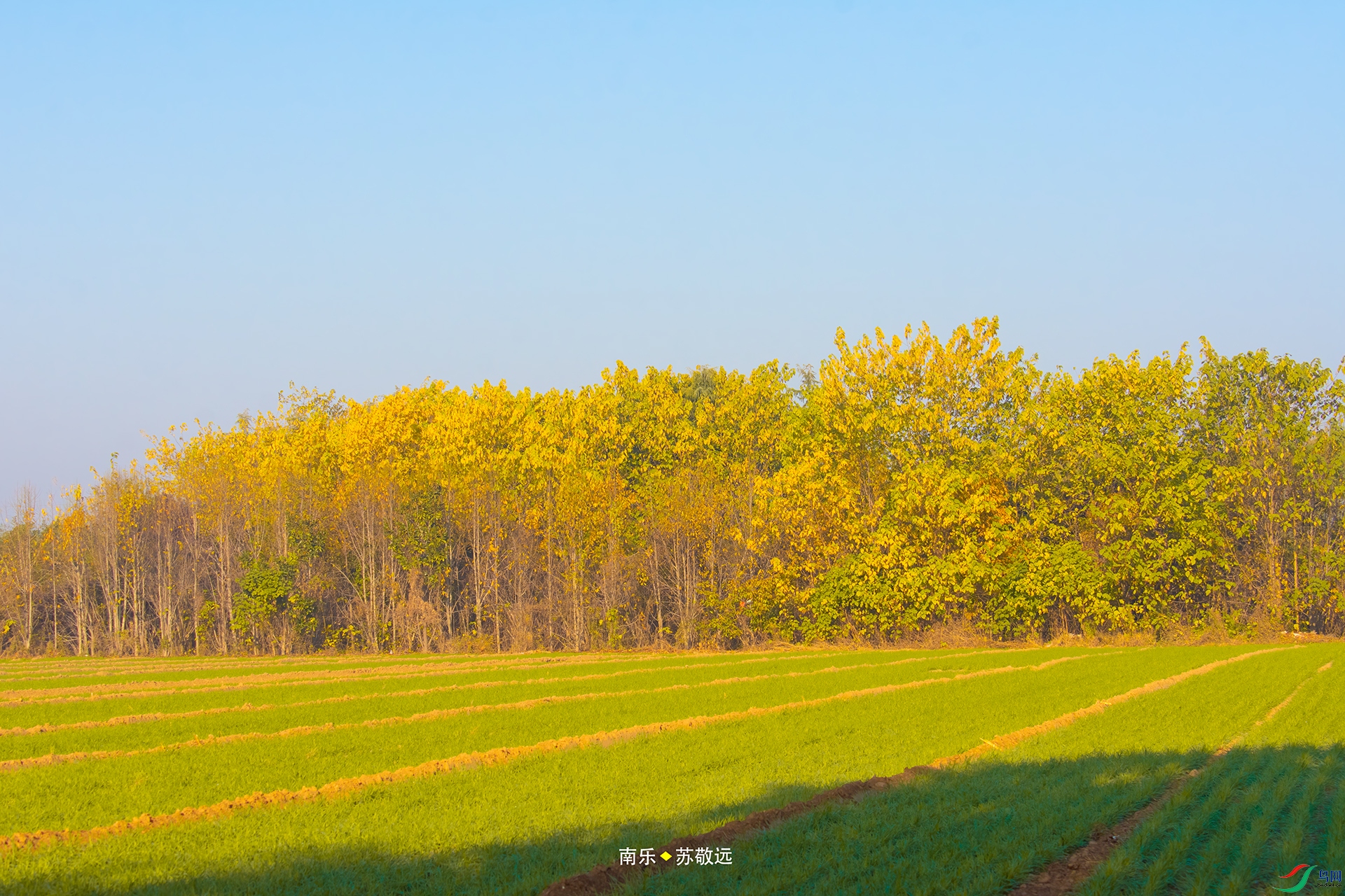 _DSC2584С.jpg