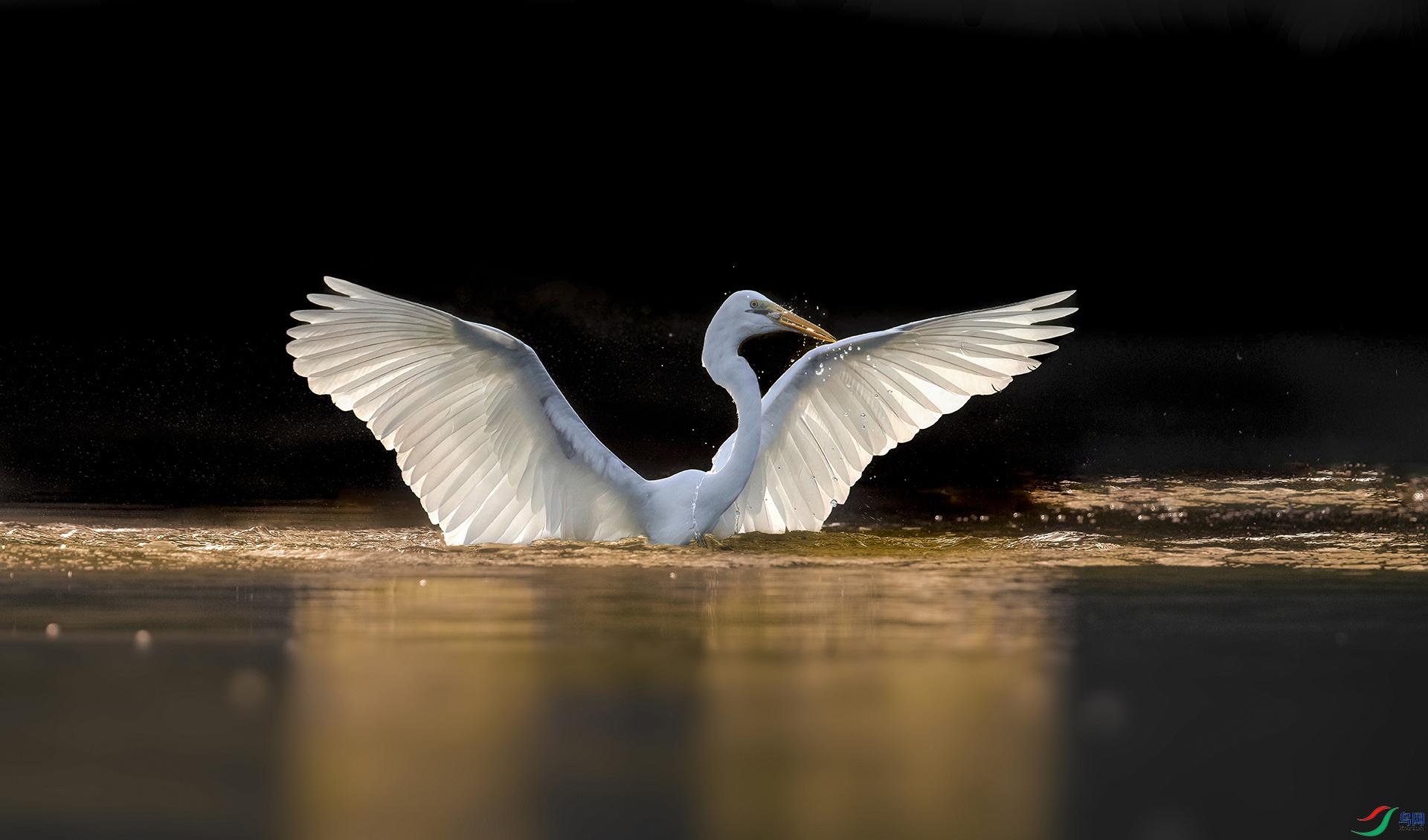 DSC_3494 ����1 ����as ����.jpg