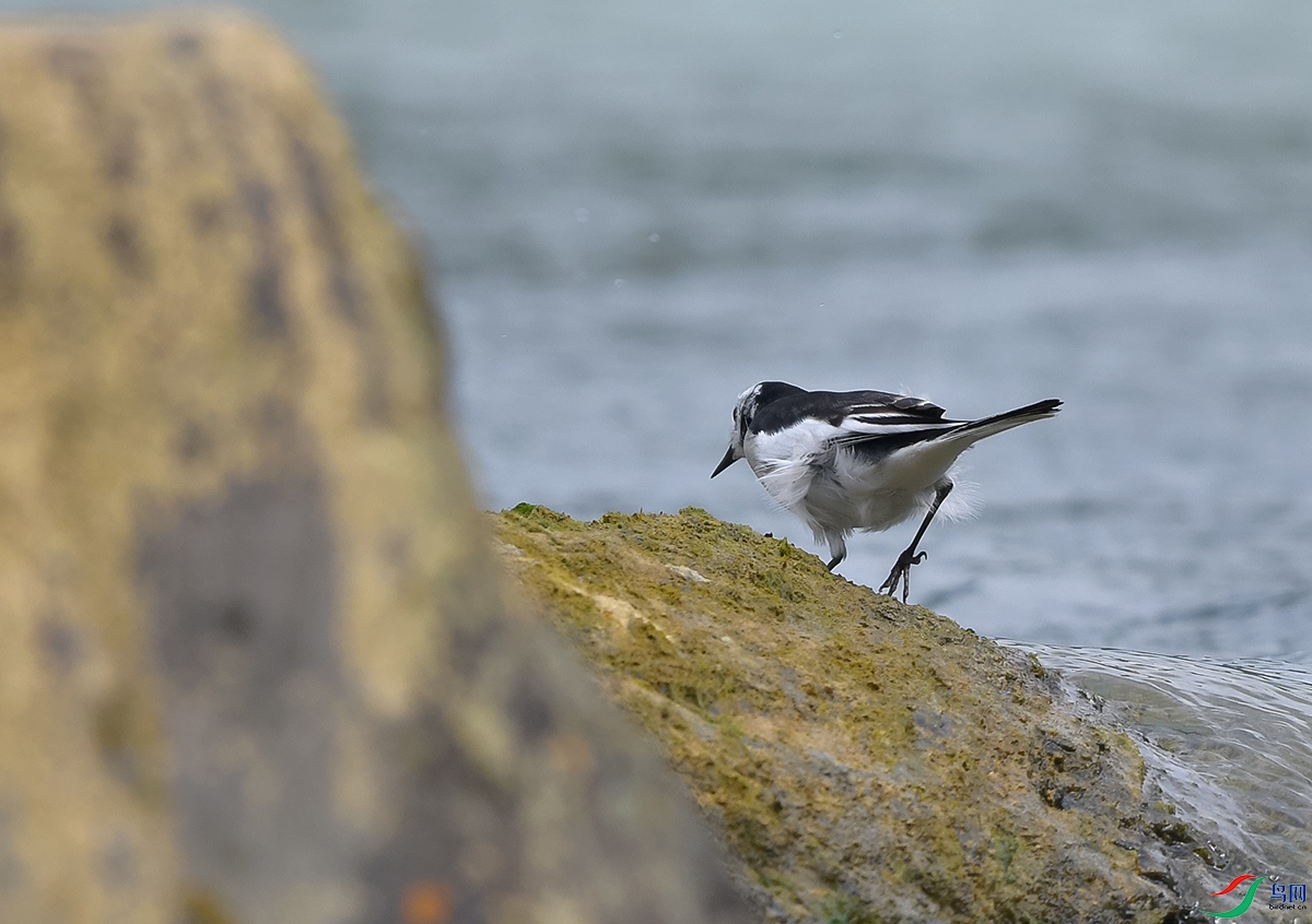 DSC_0777.JPG