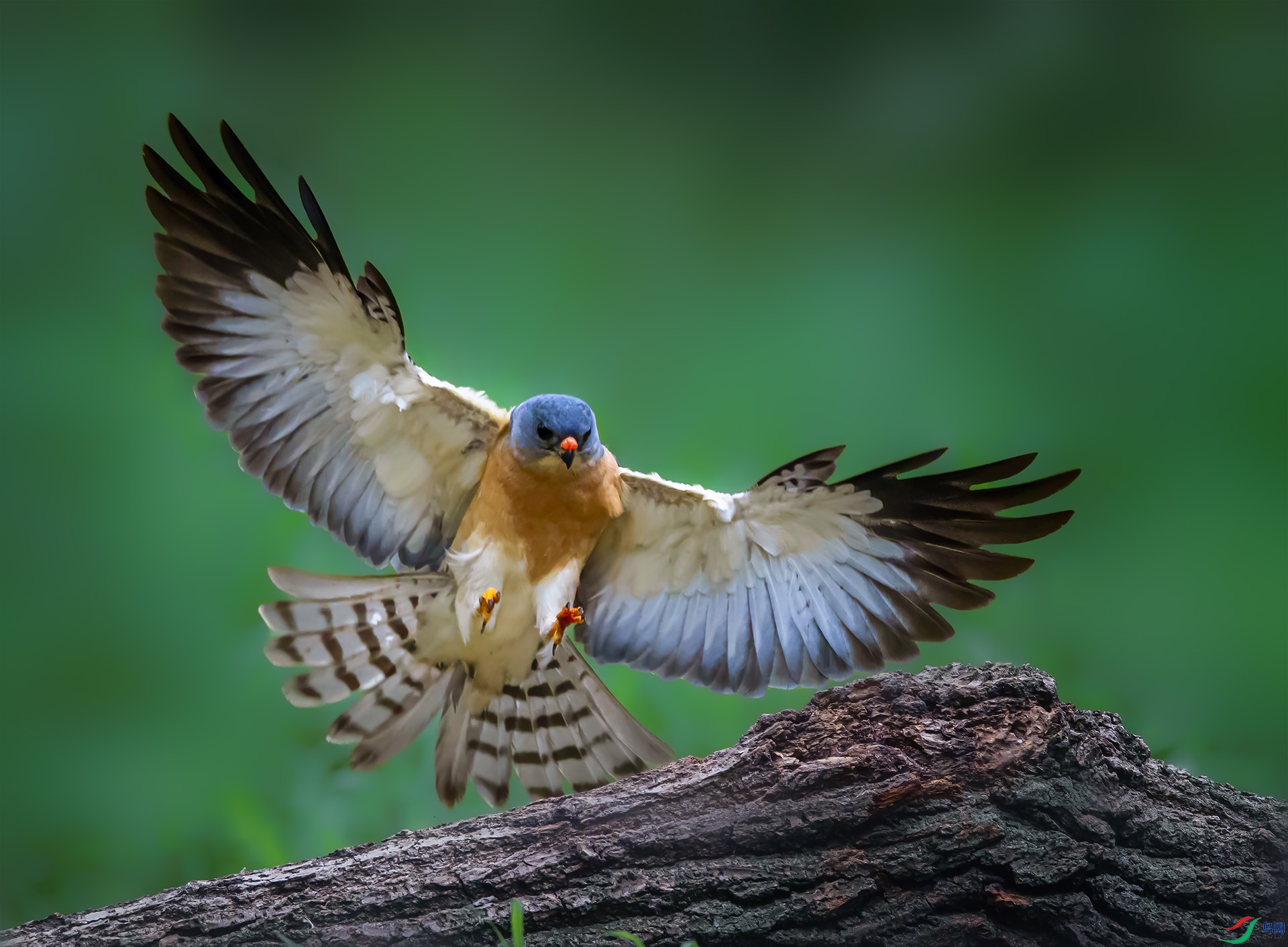 547A6434 ����.jpg