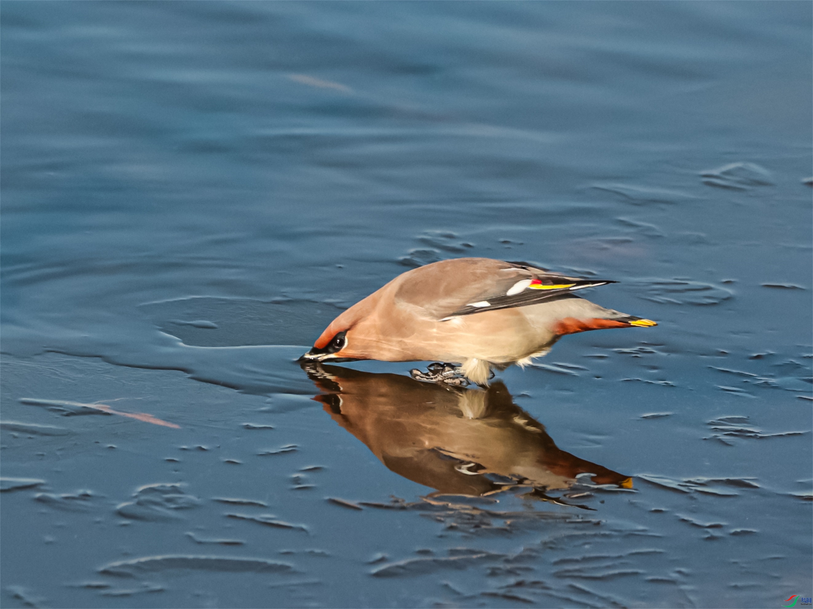 1K3A8750 ����1.jpg