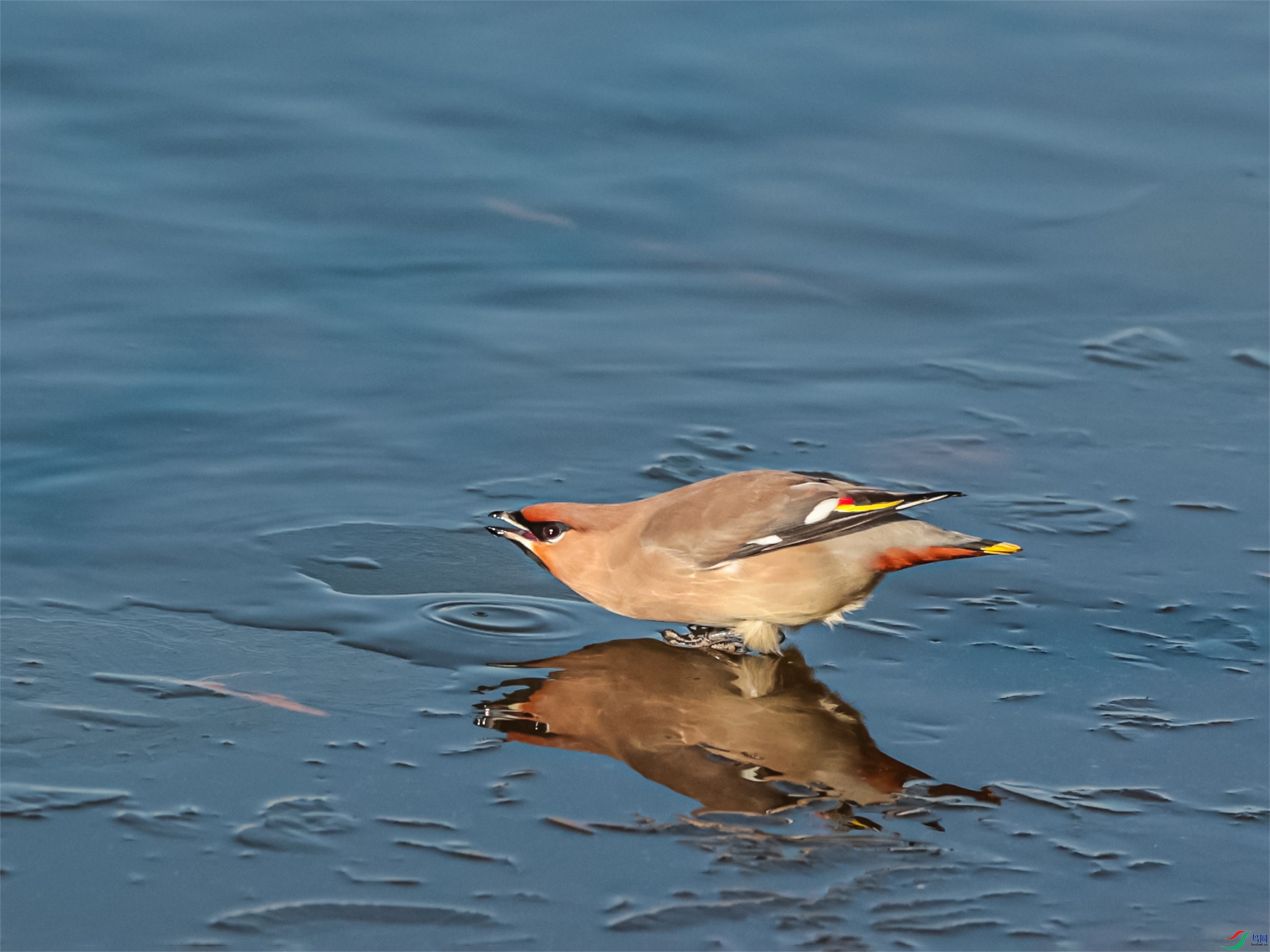 1K3A8752 ����1.jpg