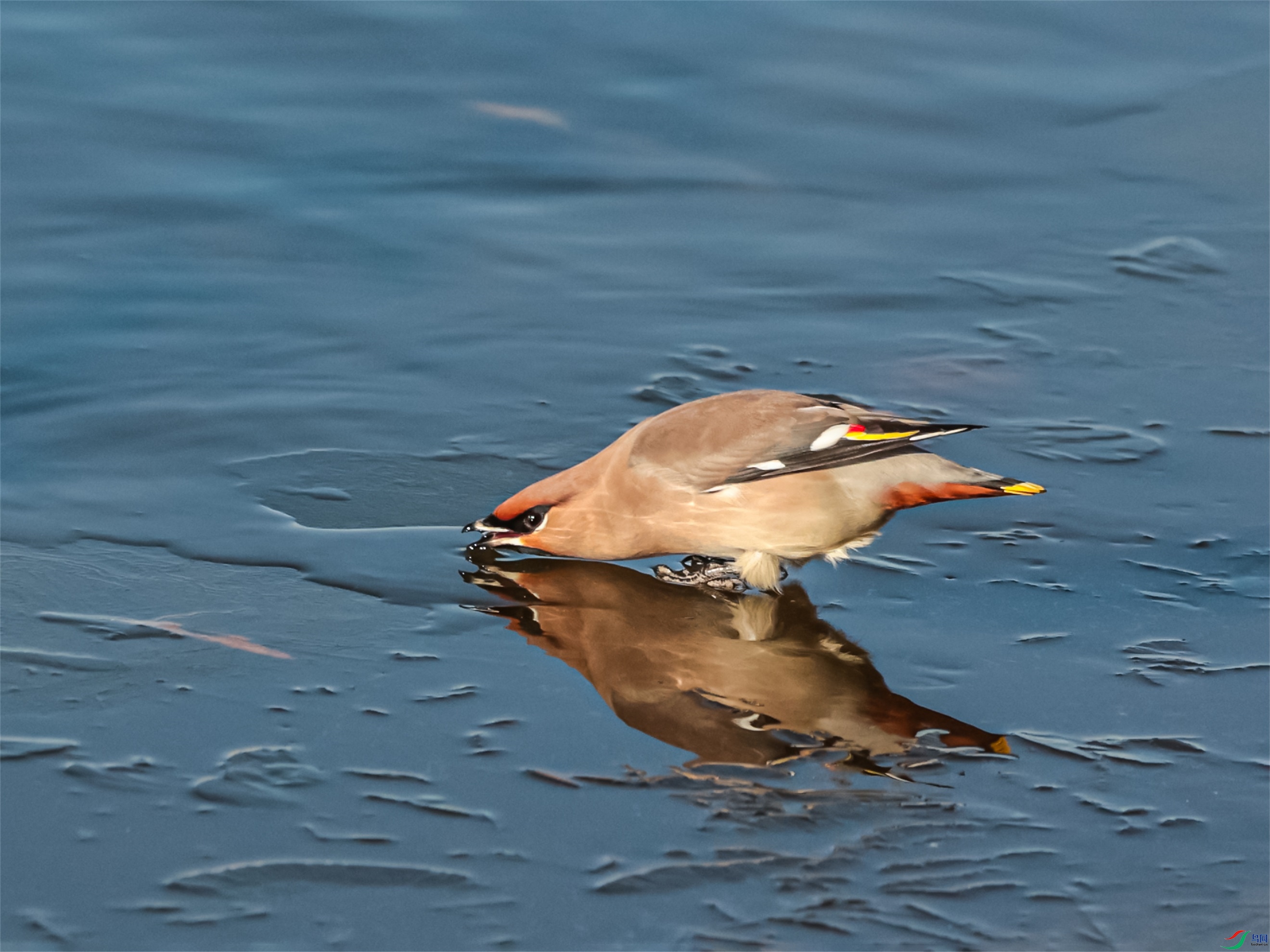 1K3A8751 ����1.jpg