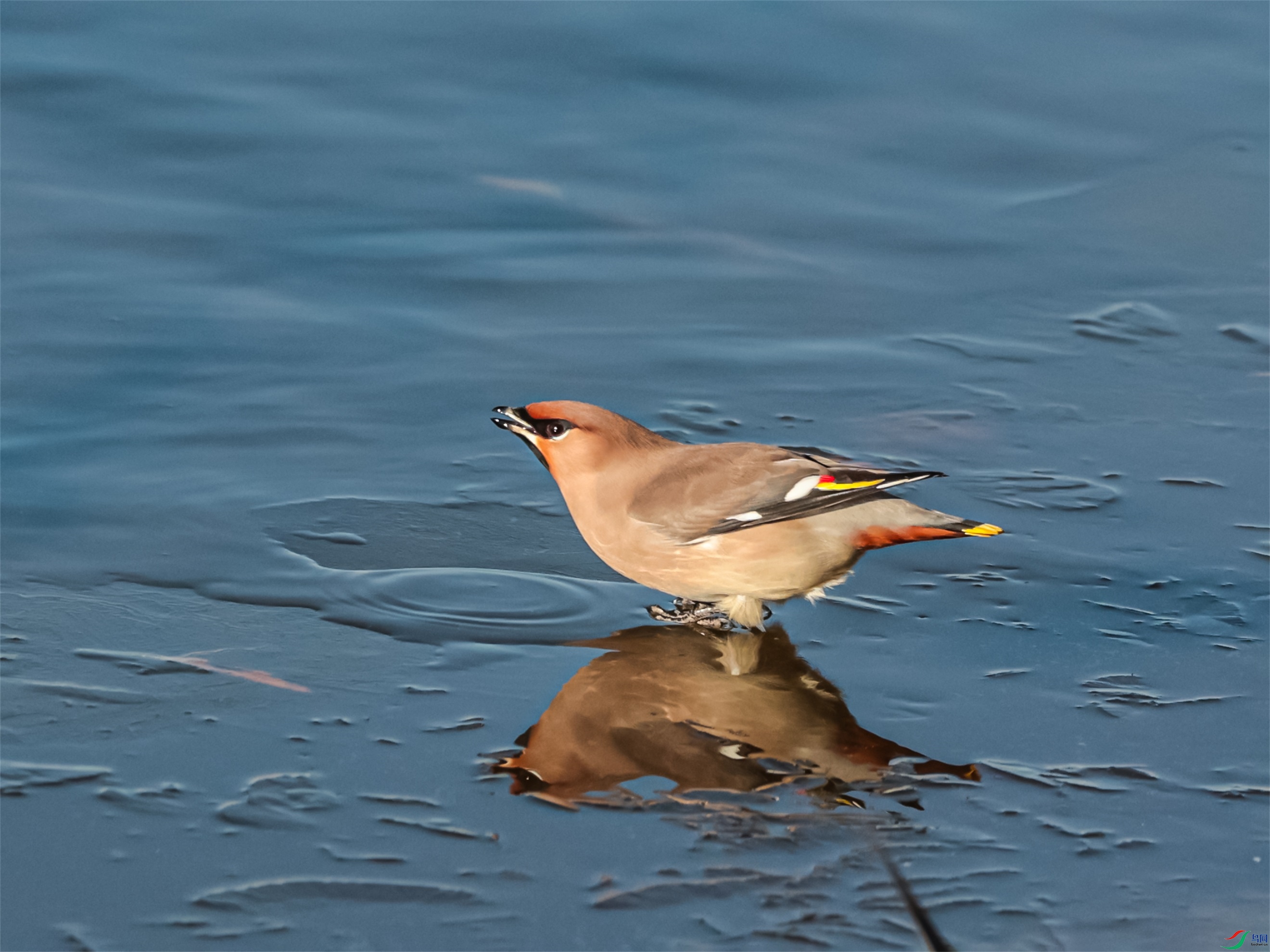 1K3A8753 ����1.jpg