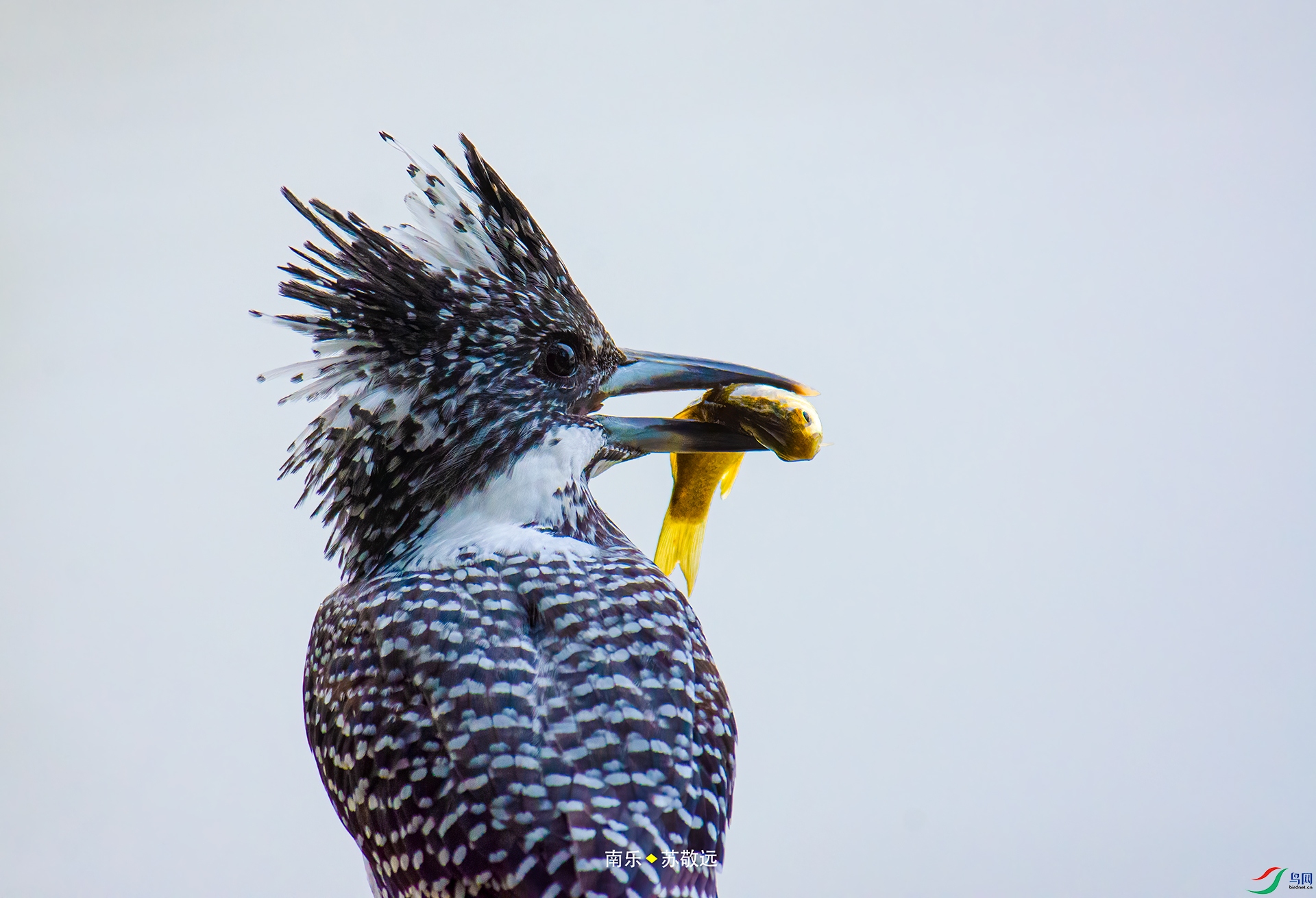 _DSC2893С.jpg