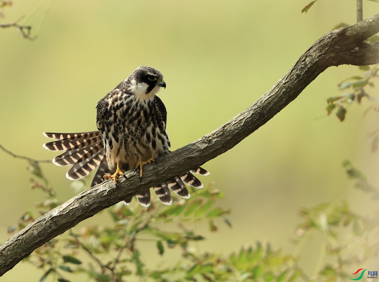 ����     098A1208.JPG