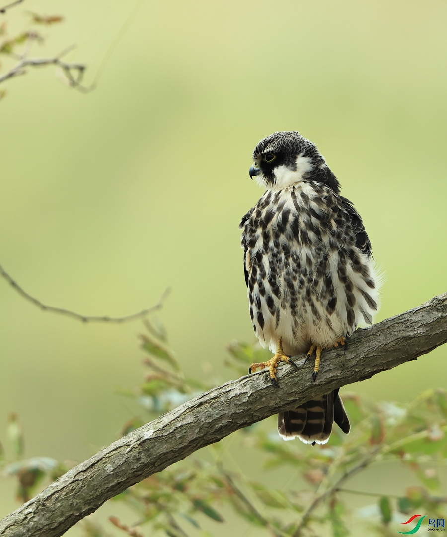 ����         098A1558.JPG