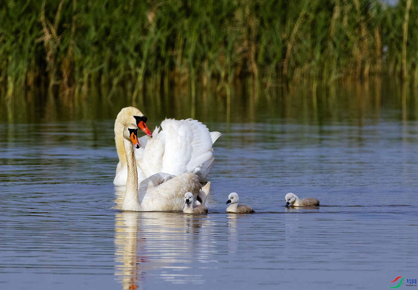 IMGL6105 ���� 2.jpg