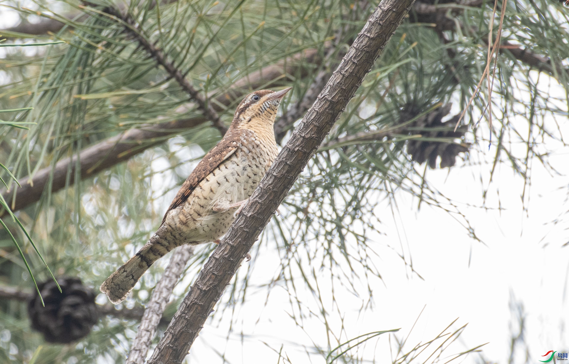 DSC_7060.jpg