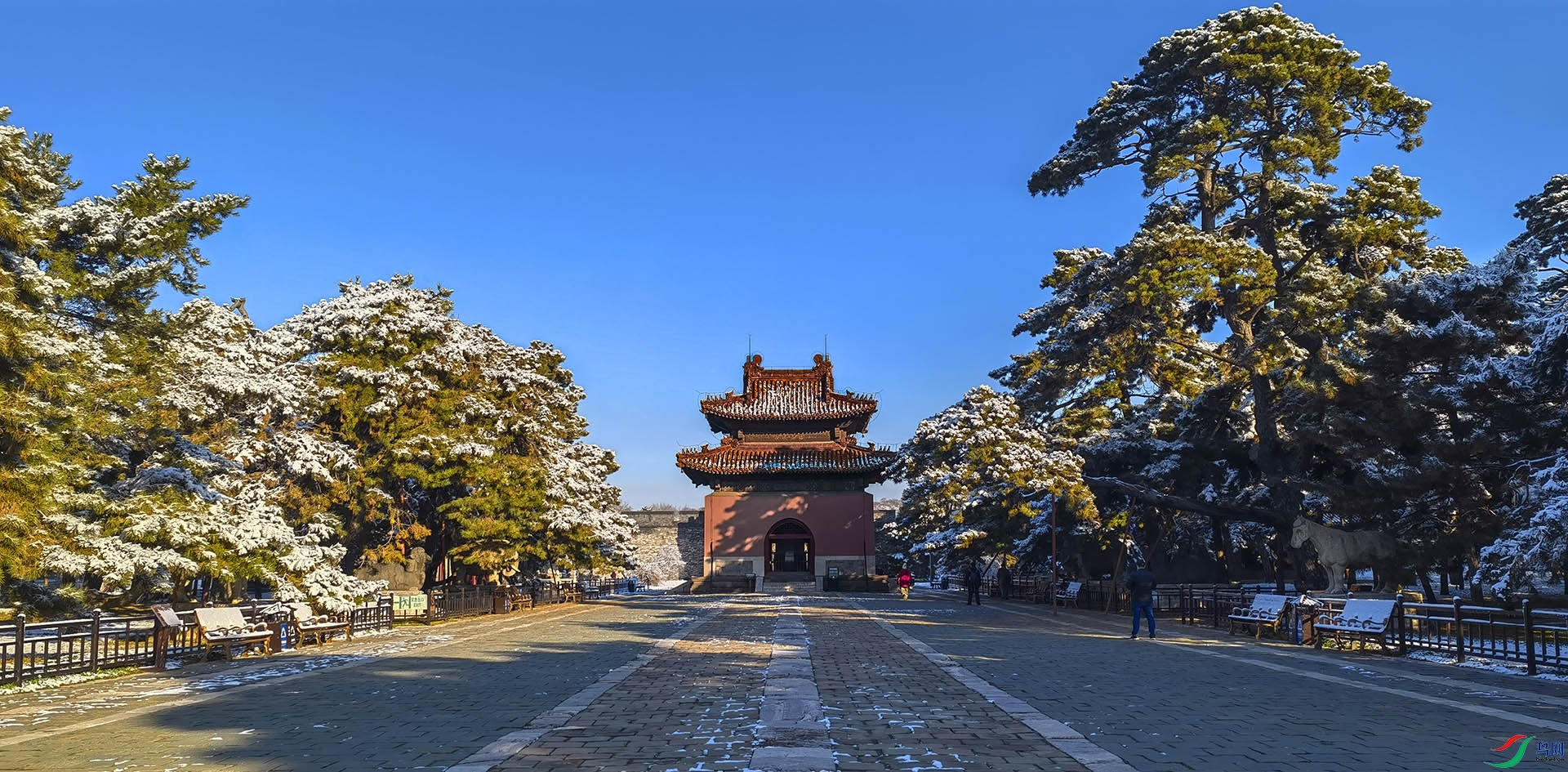 IMG_20221113_084012 - �����ѩ.jpg