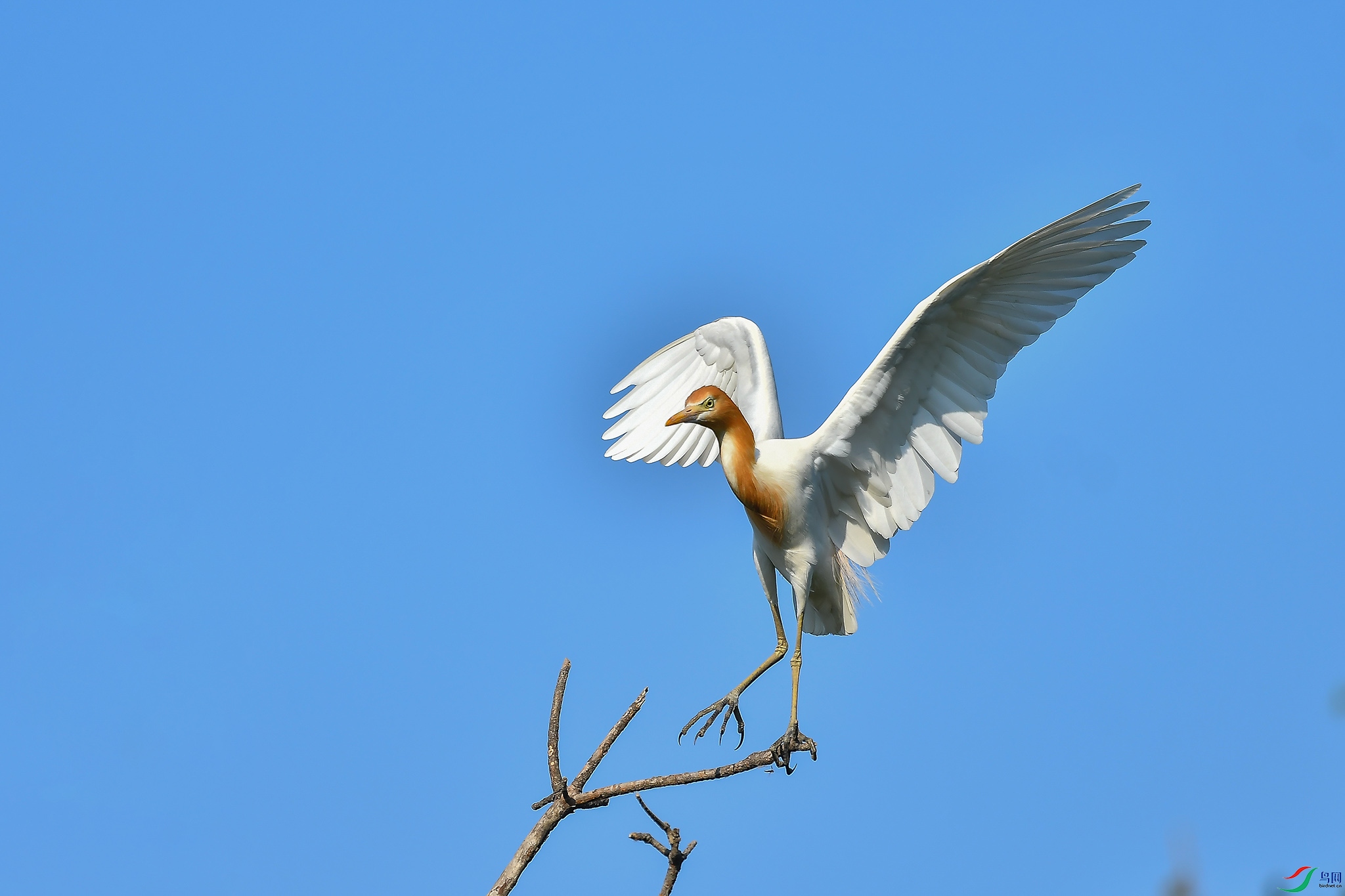 DSC_3753.JPG