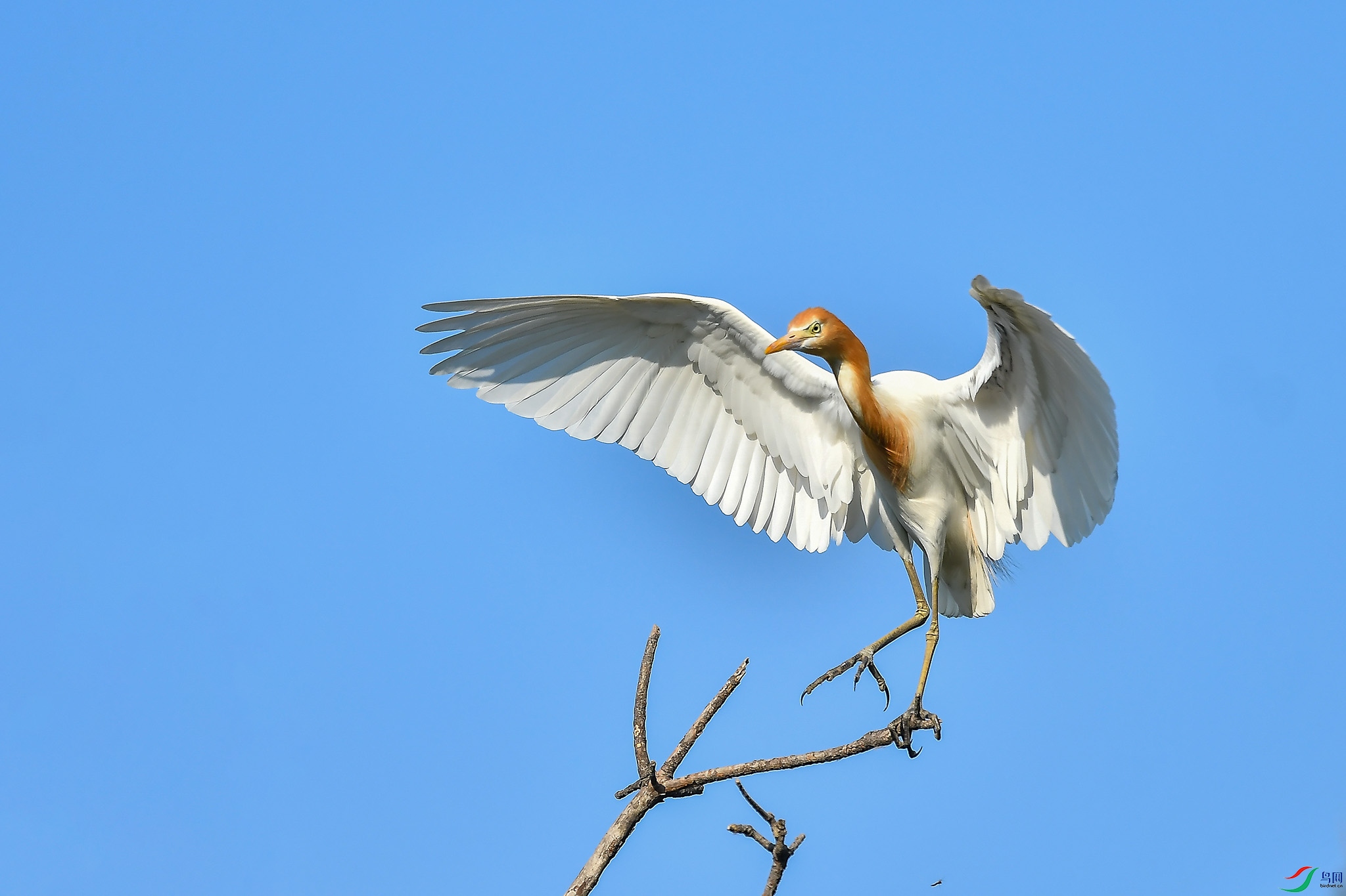 DSC_3754.JPG
