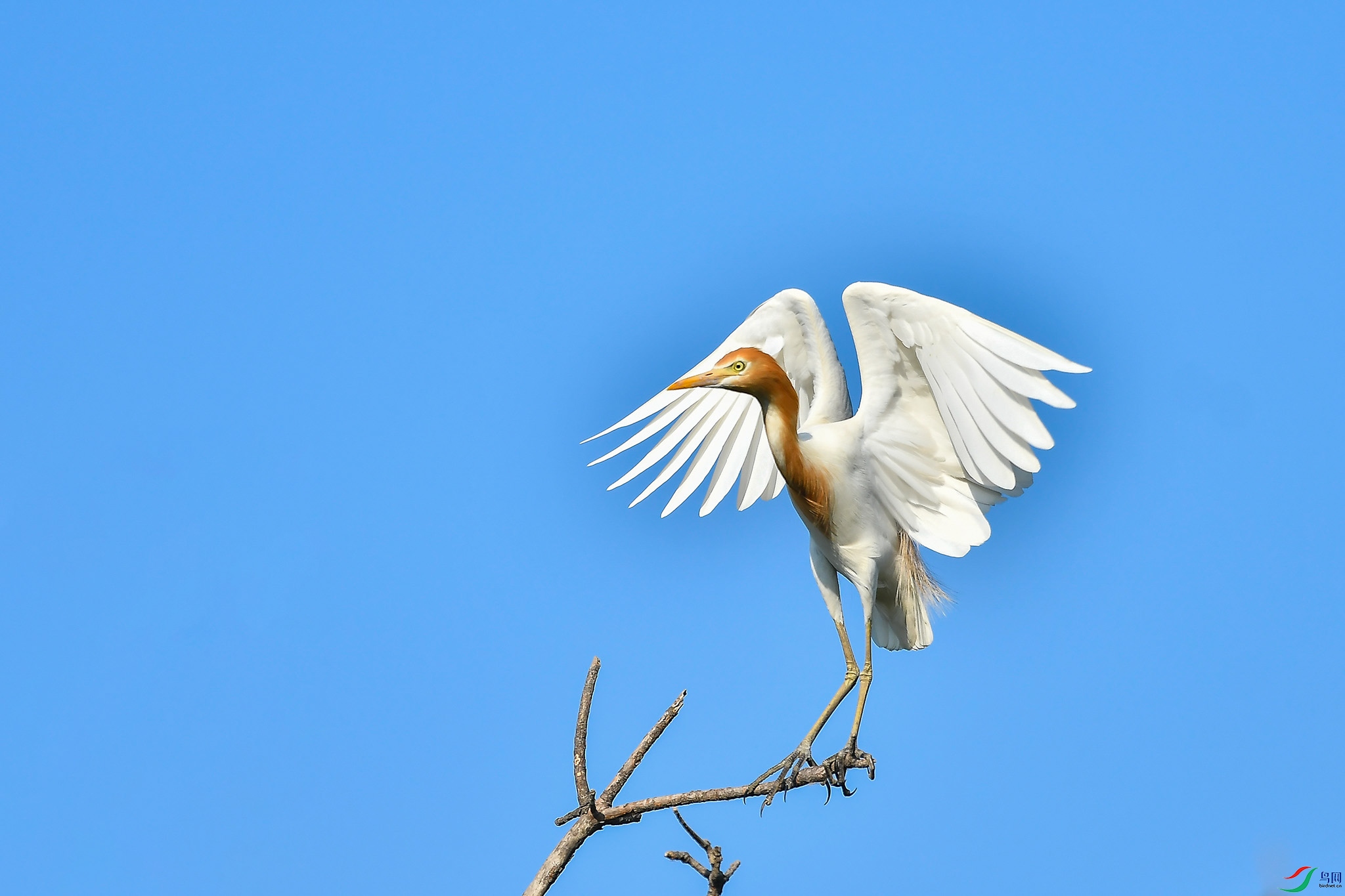 DSC_3755.JPG