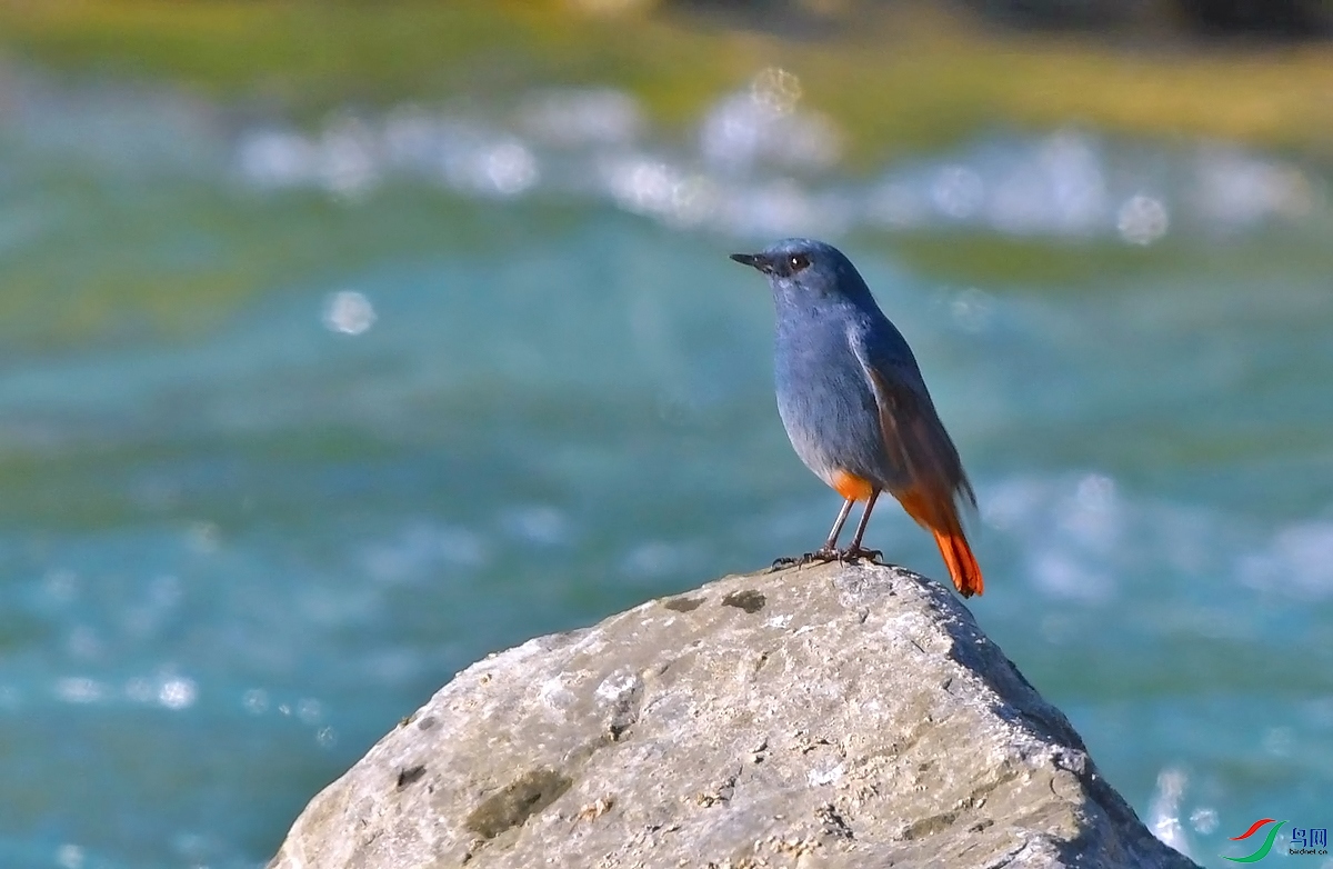 DSC_2333.JPG