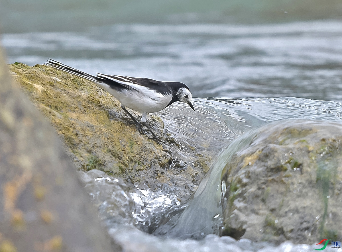 DSC_0773.JPG