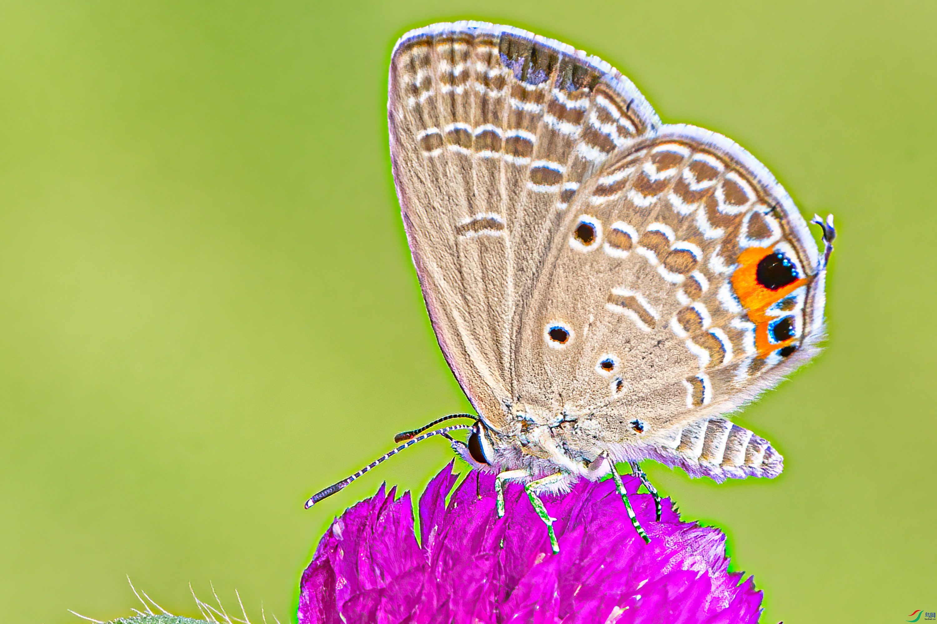 DSC_9433-px_1.jpg