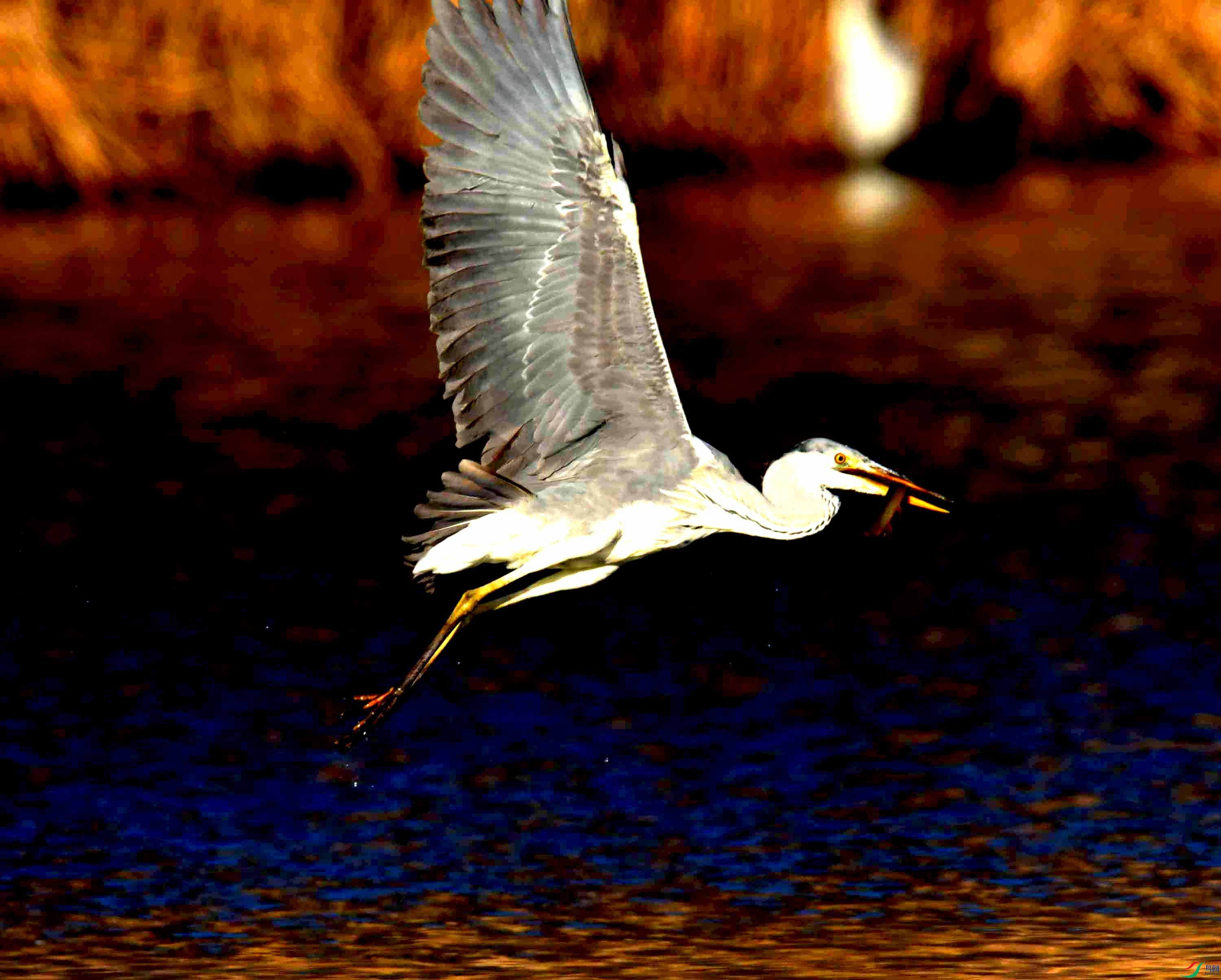 DSC_0403.JPG