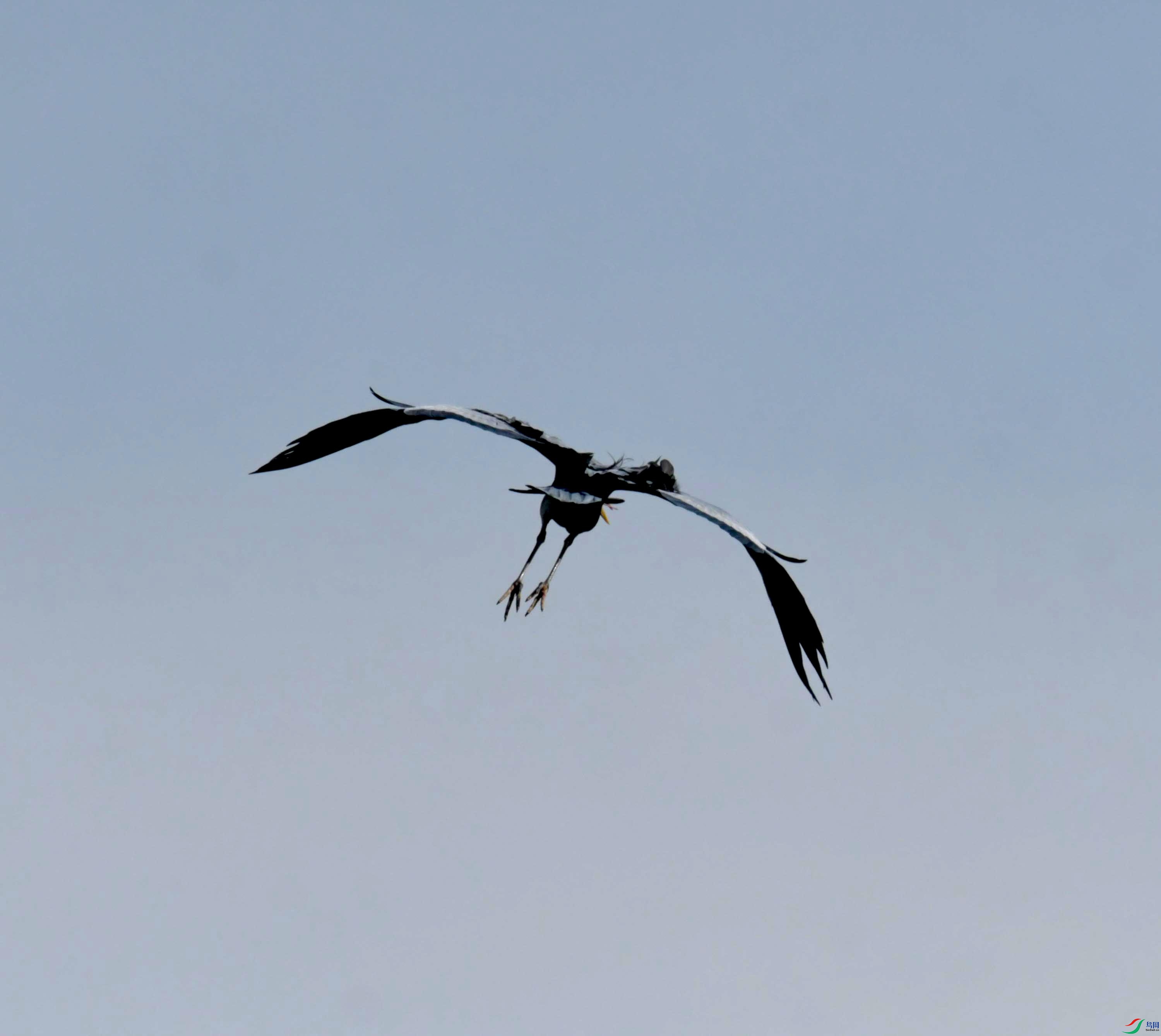 DSC_0442.JPG