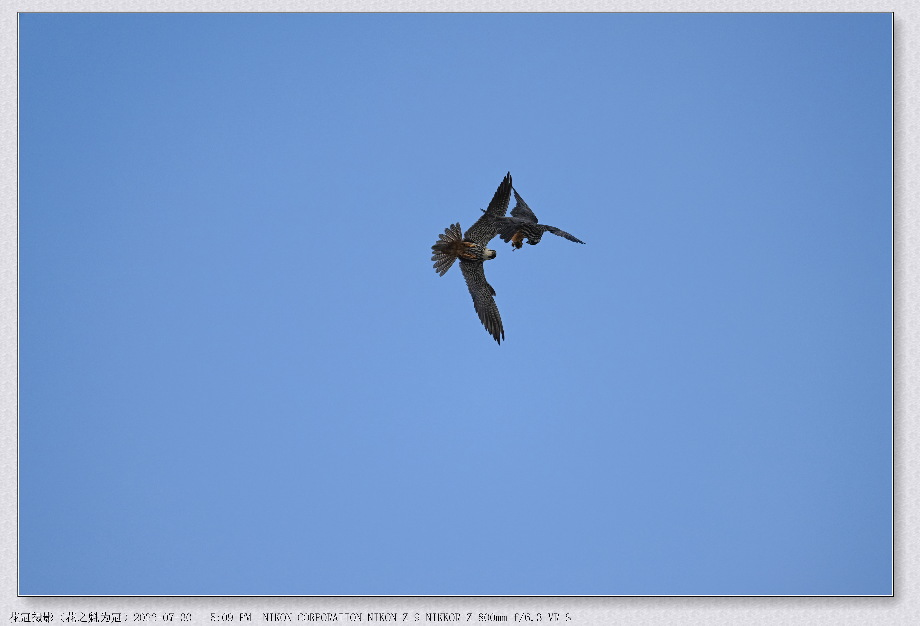 DSC_7573B-1_����.jpg