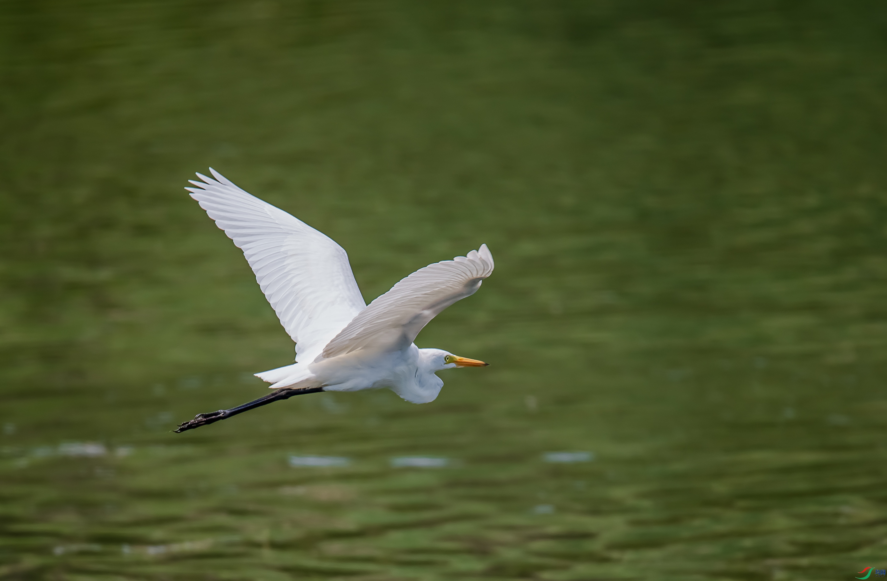 DSC_6413.jpg
