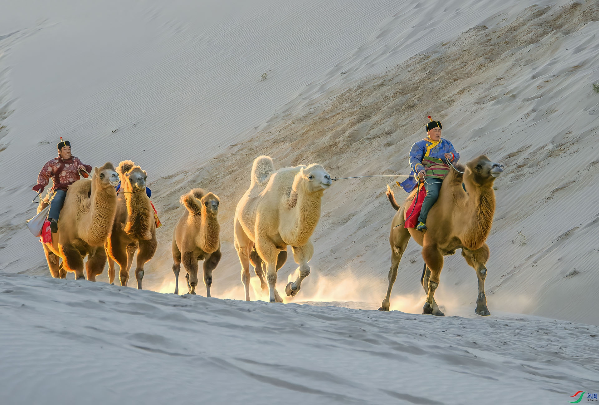 DSC_8902-NEF_DxO_DeepPRIME - ����.jpg