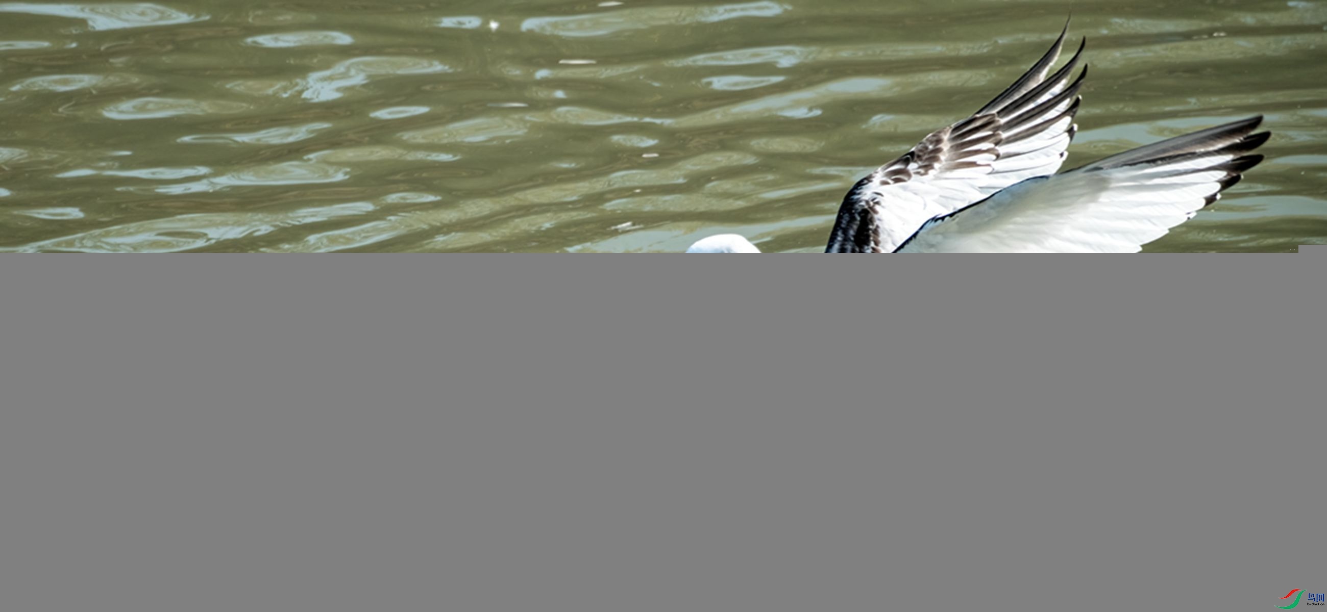 DSCF8825 ����_����_����_����.jpg