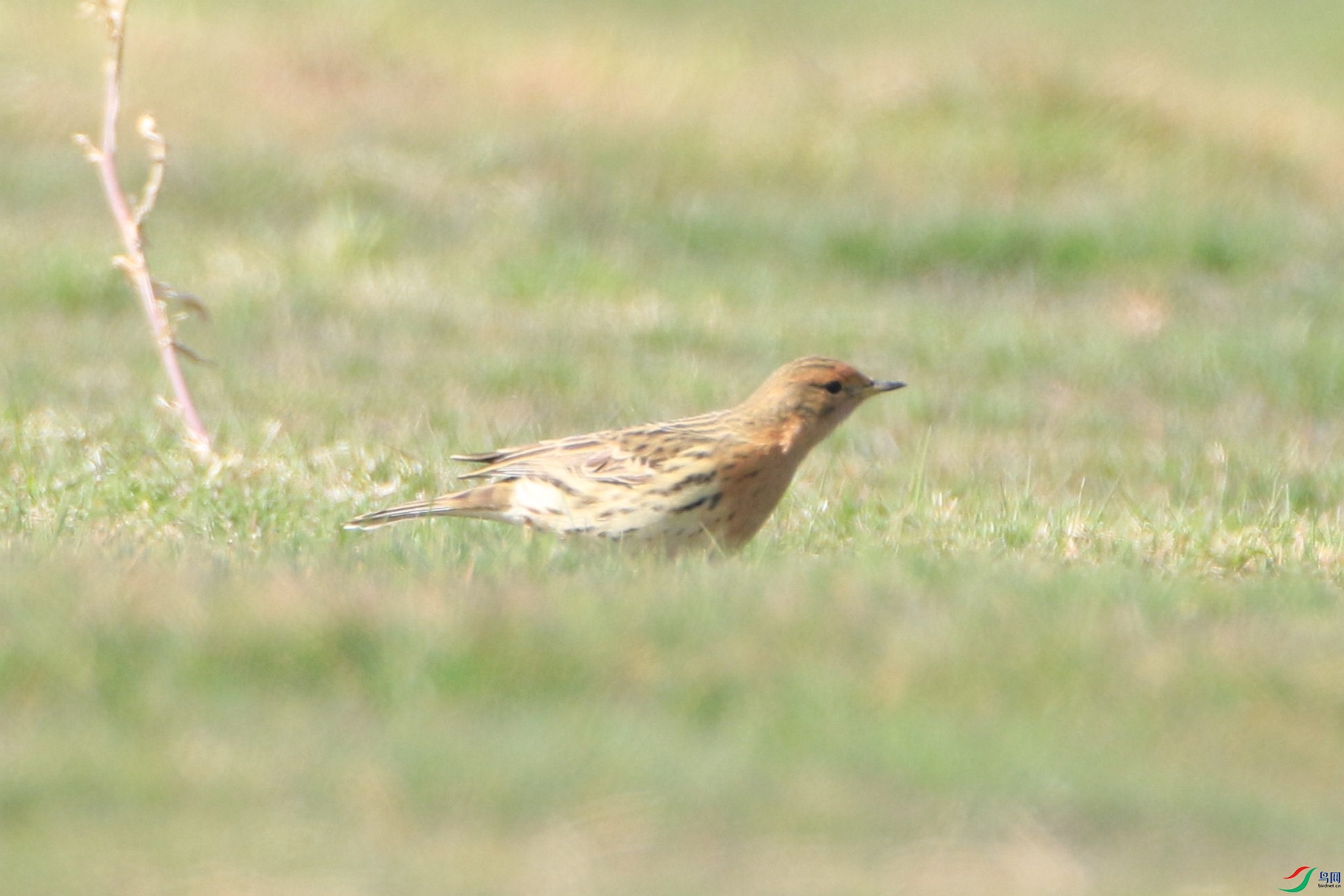 �ң� 0F4A9886.jpg