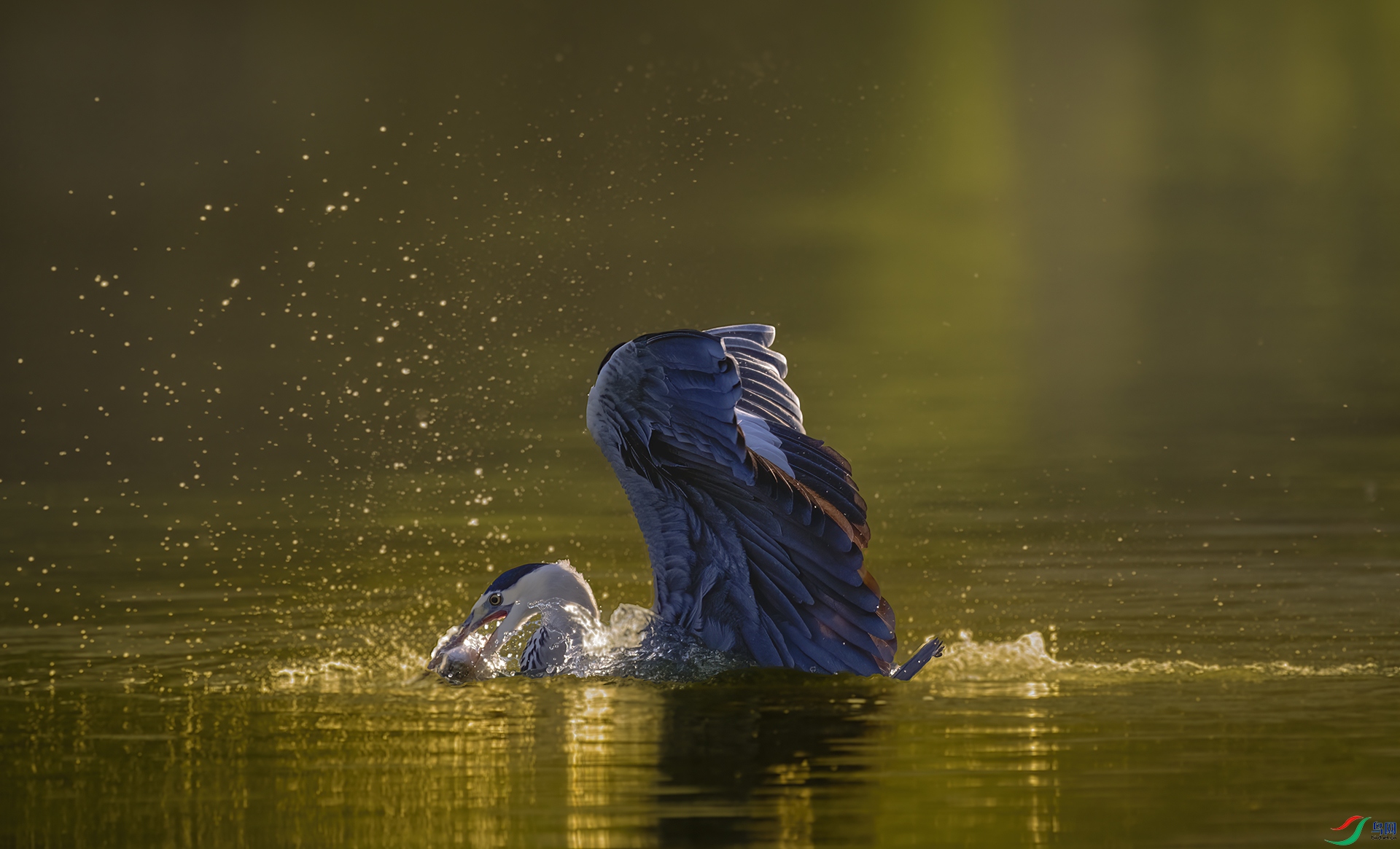 DSC_7794 ���� 2.jpg