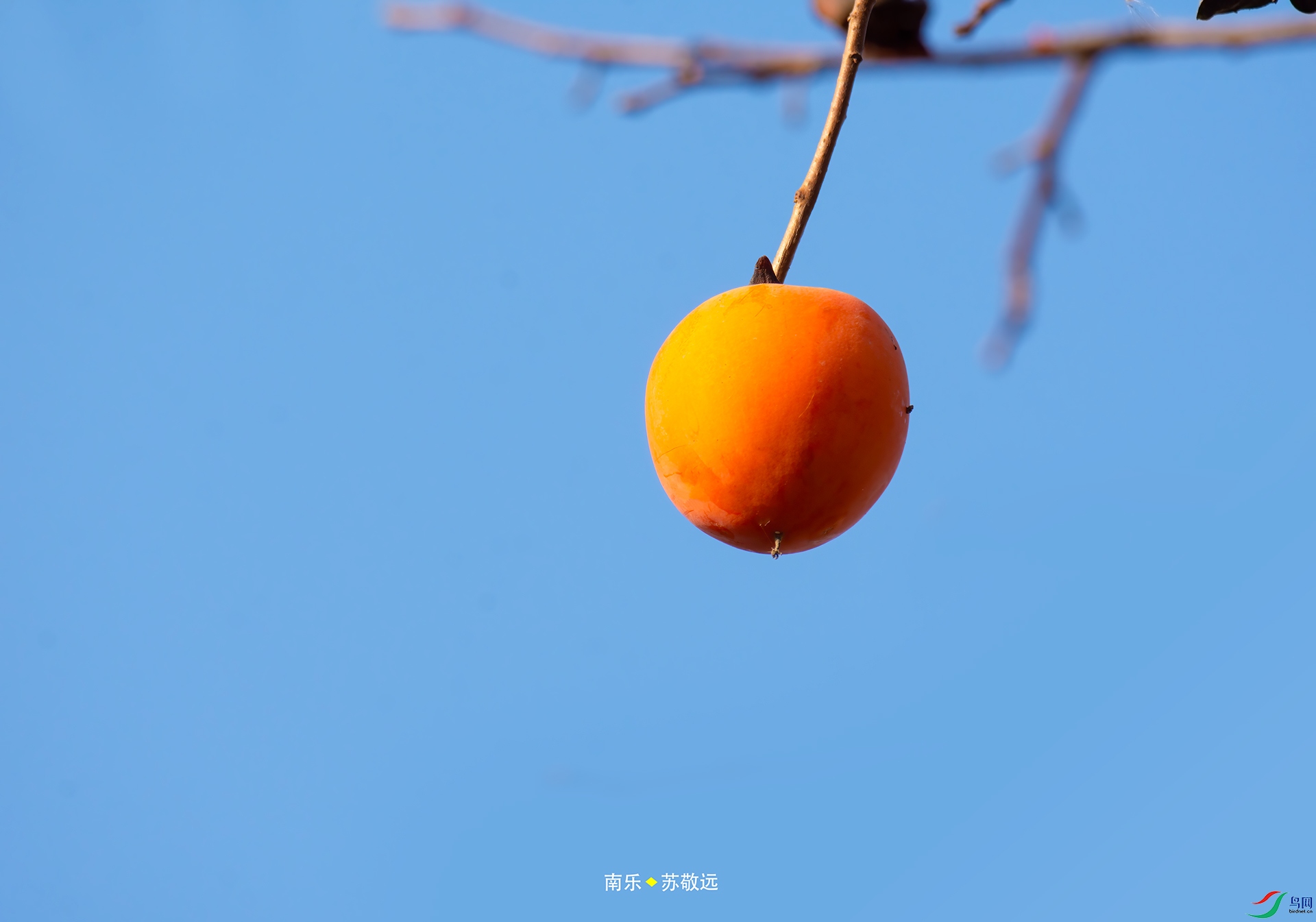 _DSC2954С.jpg