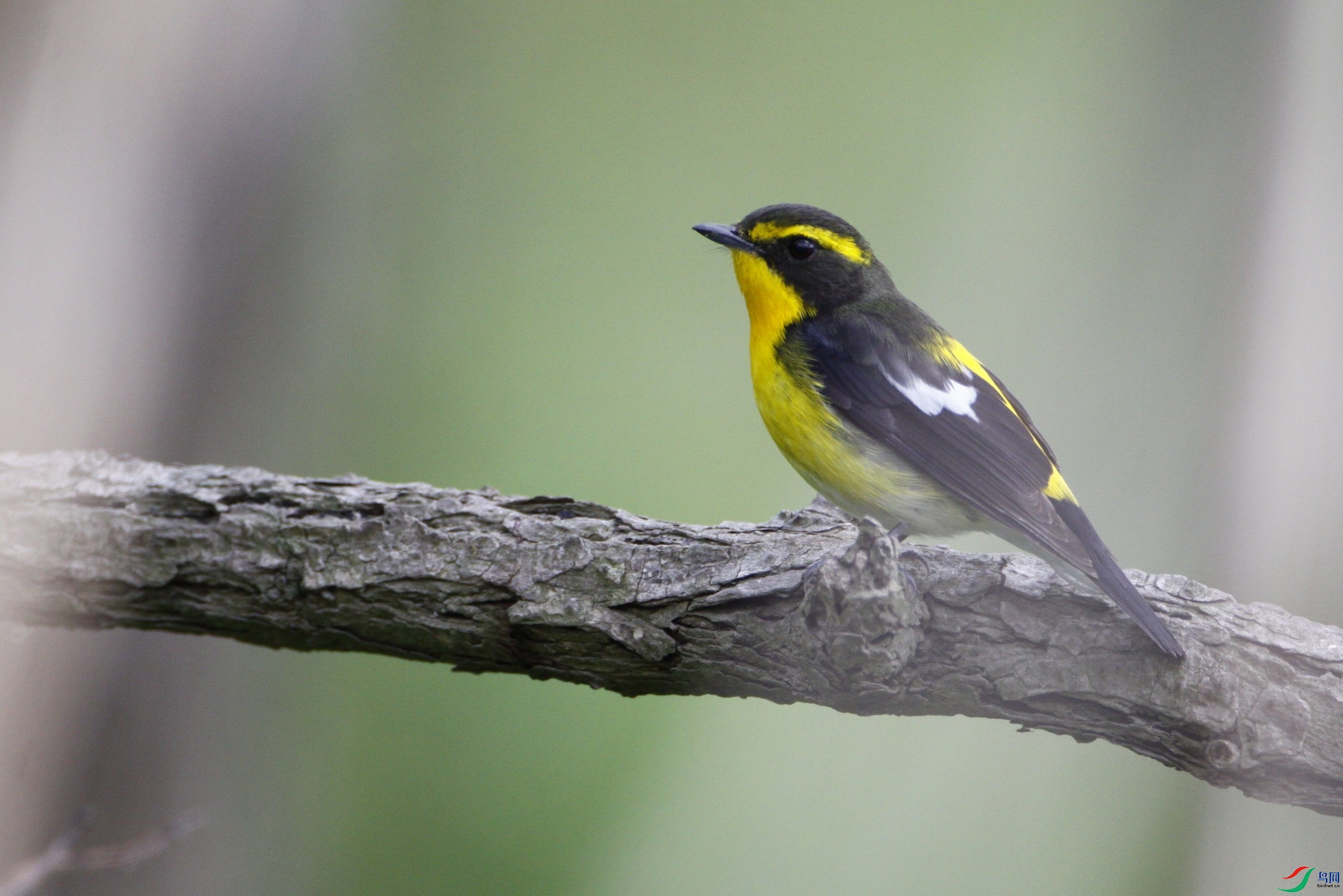 �����l ��_MG_9050.jpg