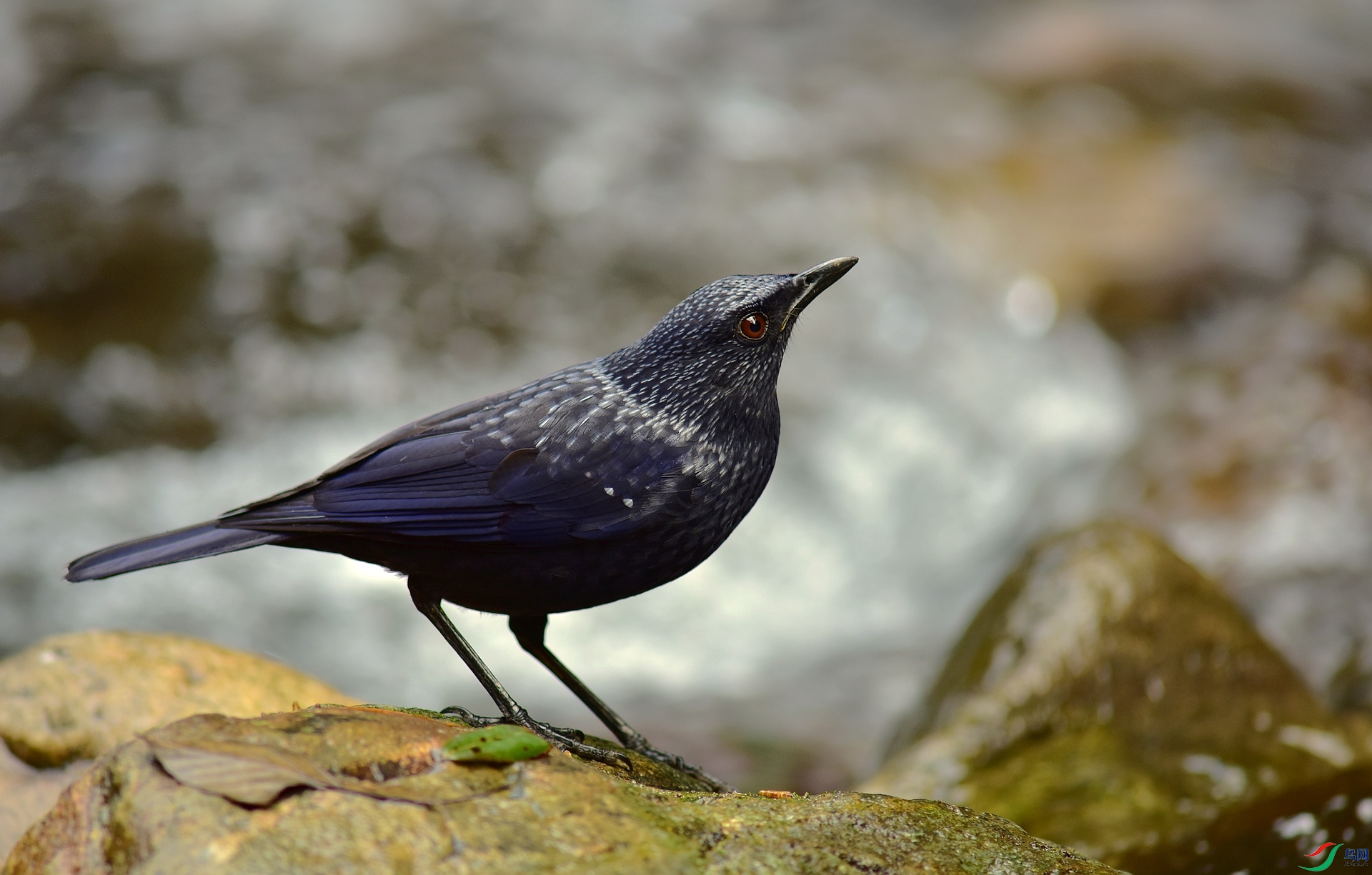 D8I_3063.jpg