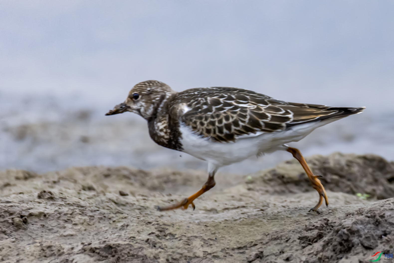 ����    ��ʯ��