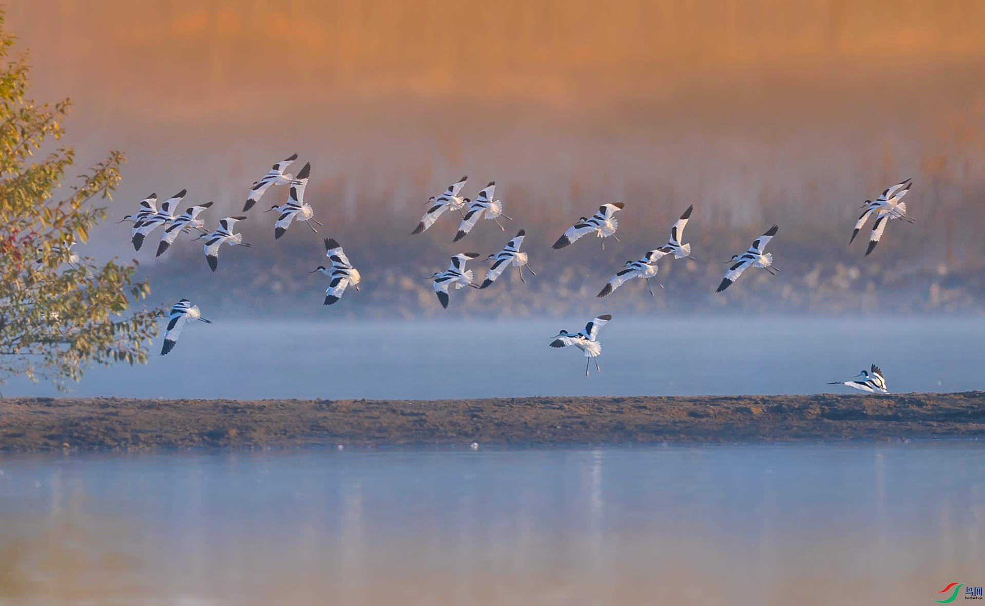 ����083A8813.jpg
