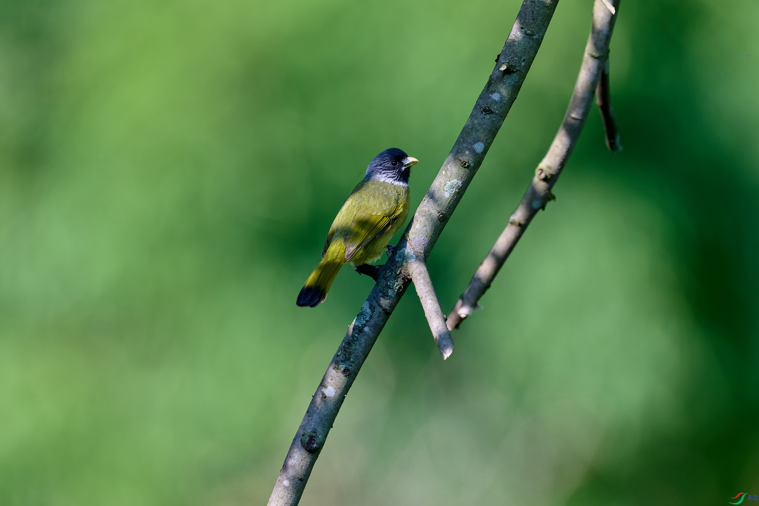 DSC_2495-NEF.jpg