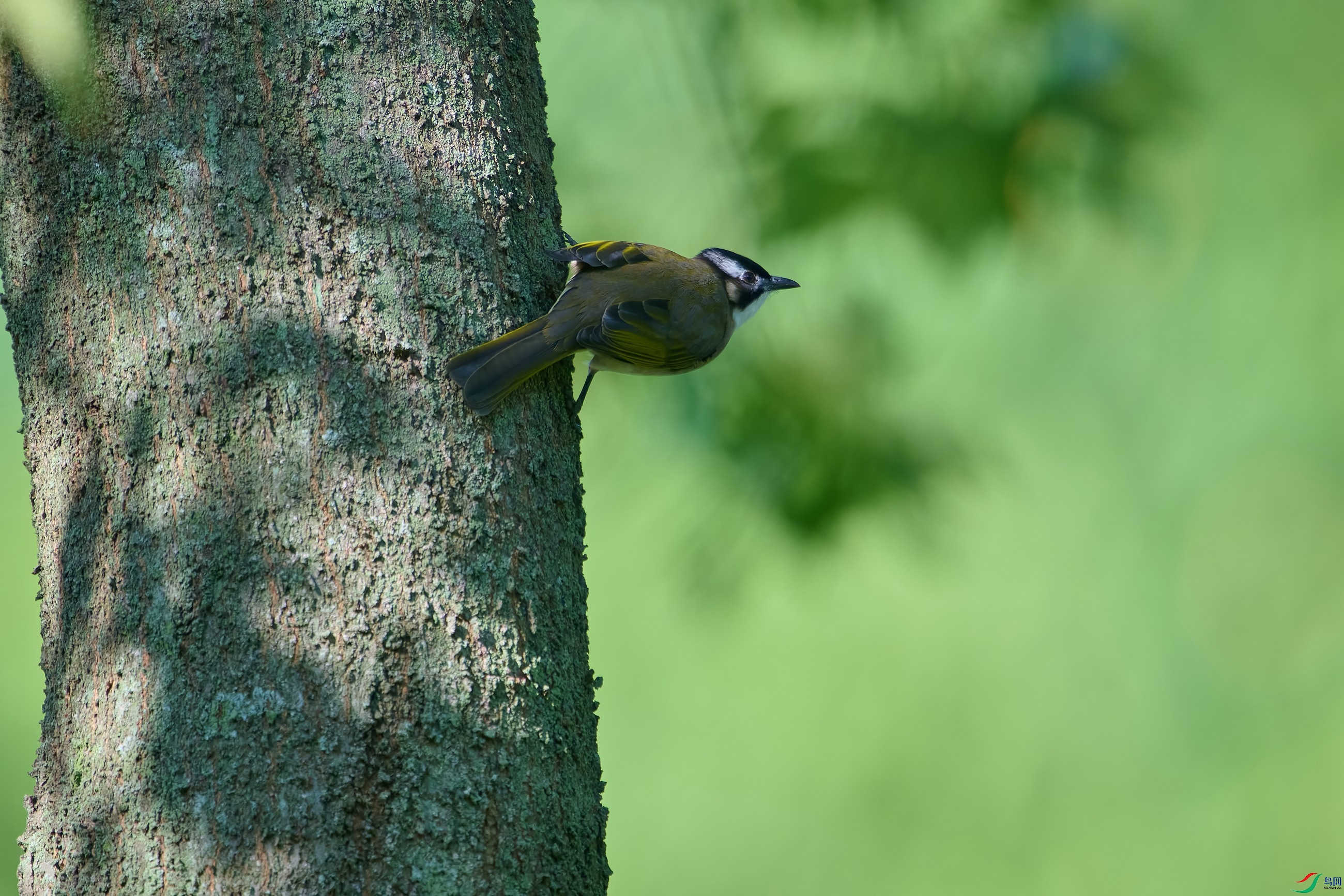 DSC_3464-NEF.jpg